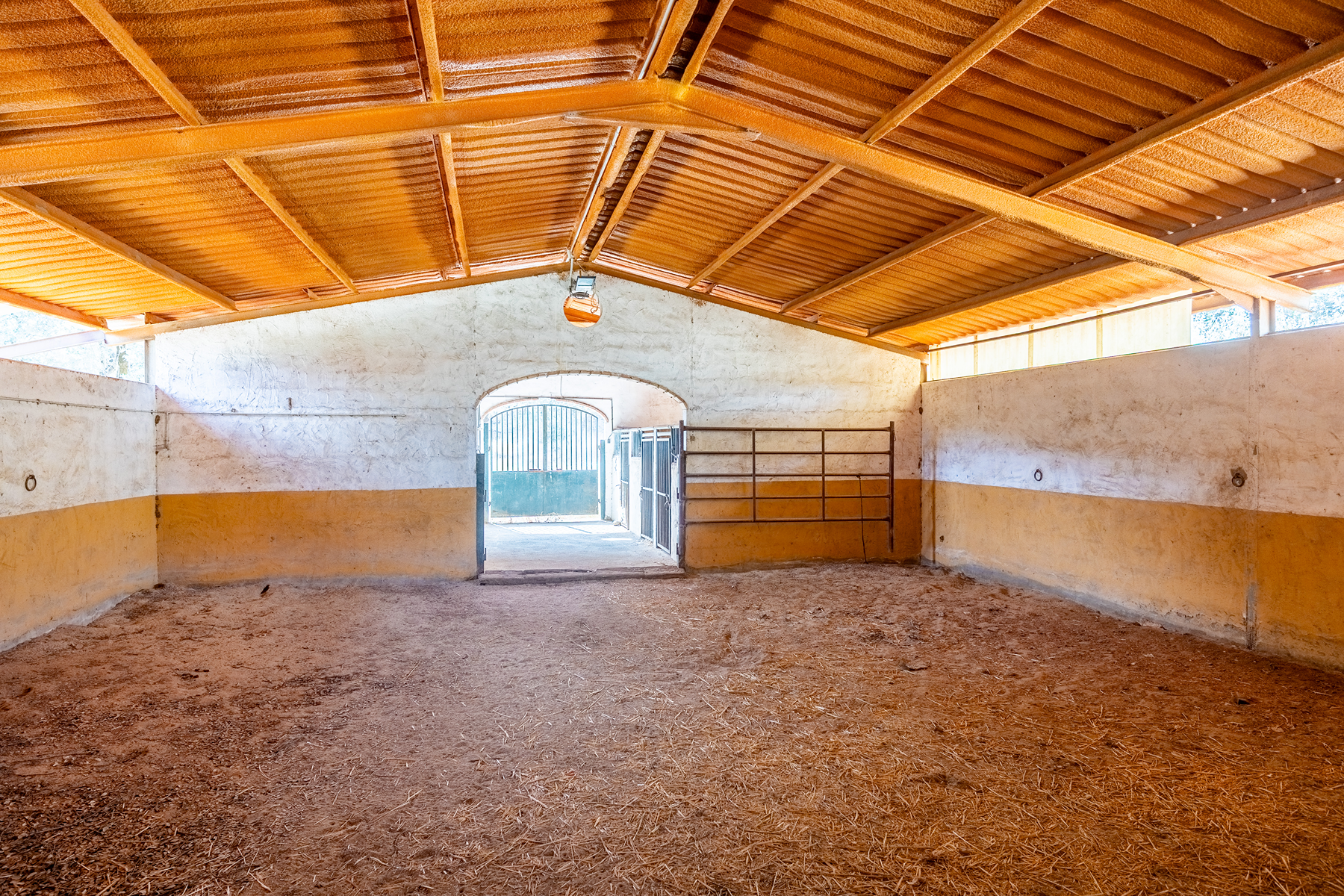  Recreational and hunting estate in the Sierra de Córdoba - 物件實景