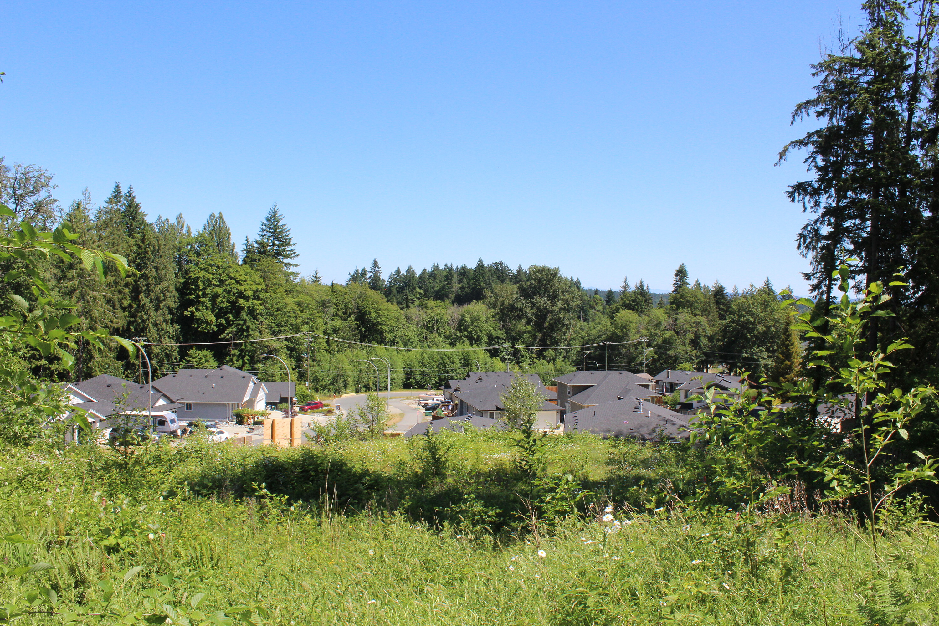  Development Lot in Ladysmith - 物件實景