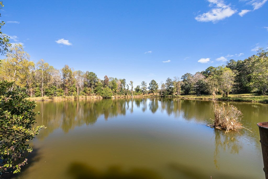 Midland City, Alabama, 36350, United States, 4 Bedrooms Bedrooms, ,3 BathroomsBathrooms,Residential,For Sale,1989153