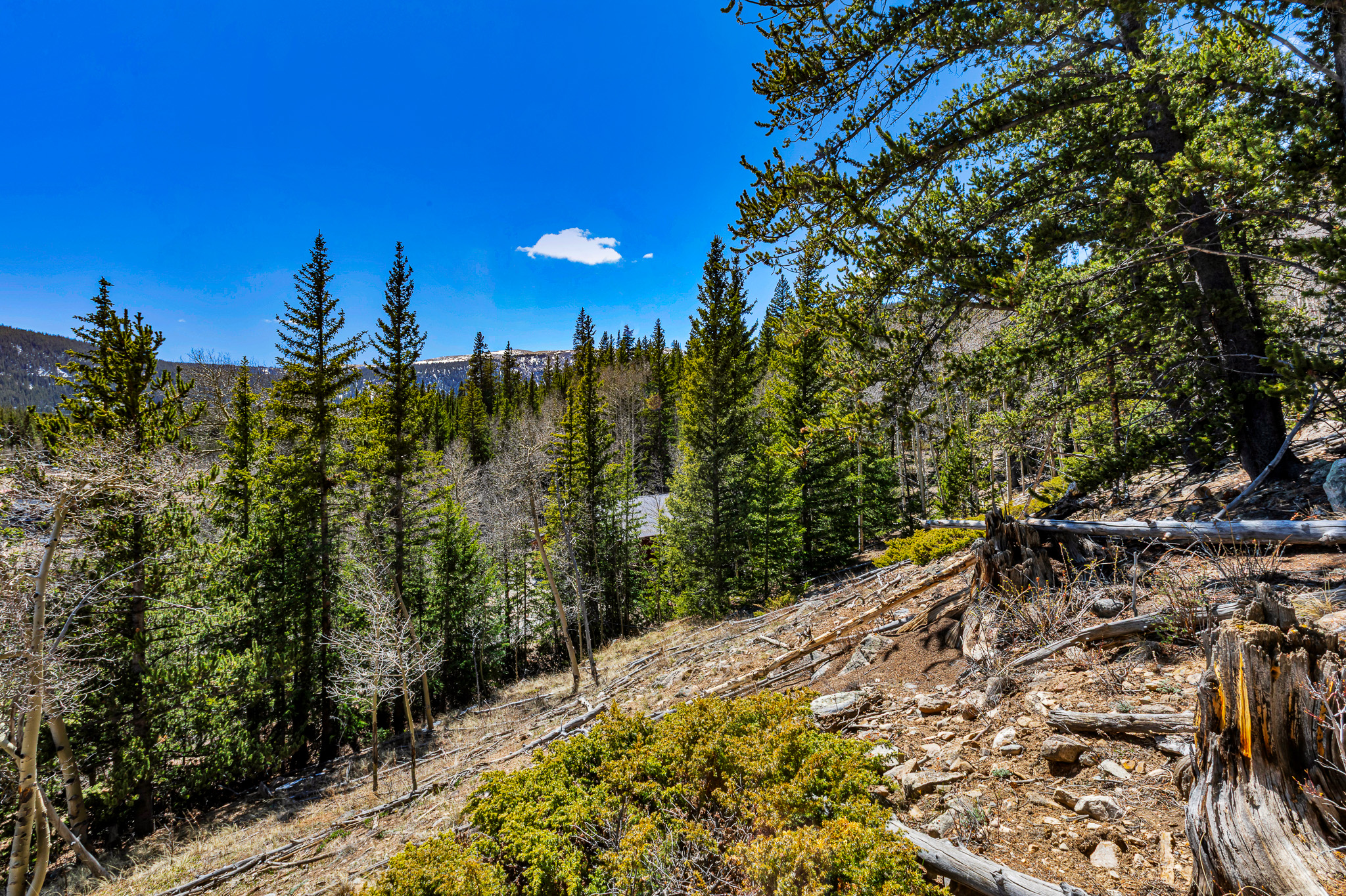  270 Co Rd 667, Alma, CO, 80440 - 物件實景