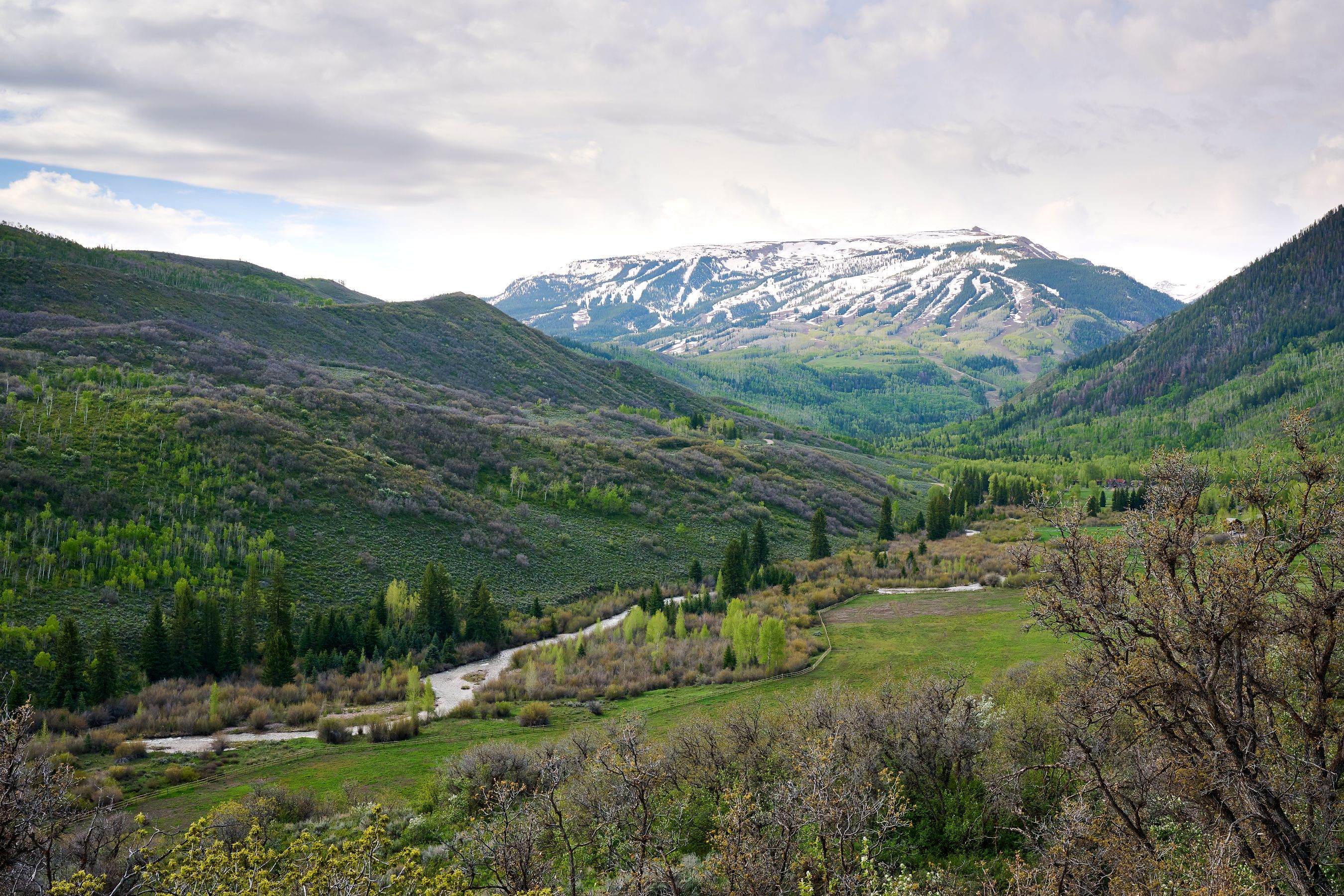  51 Shield O Road, Snowmass, CO, 81654 - 物件實景
