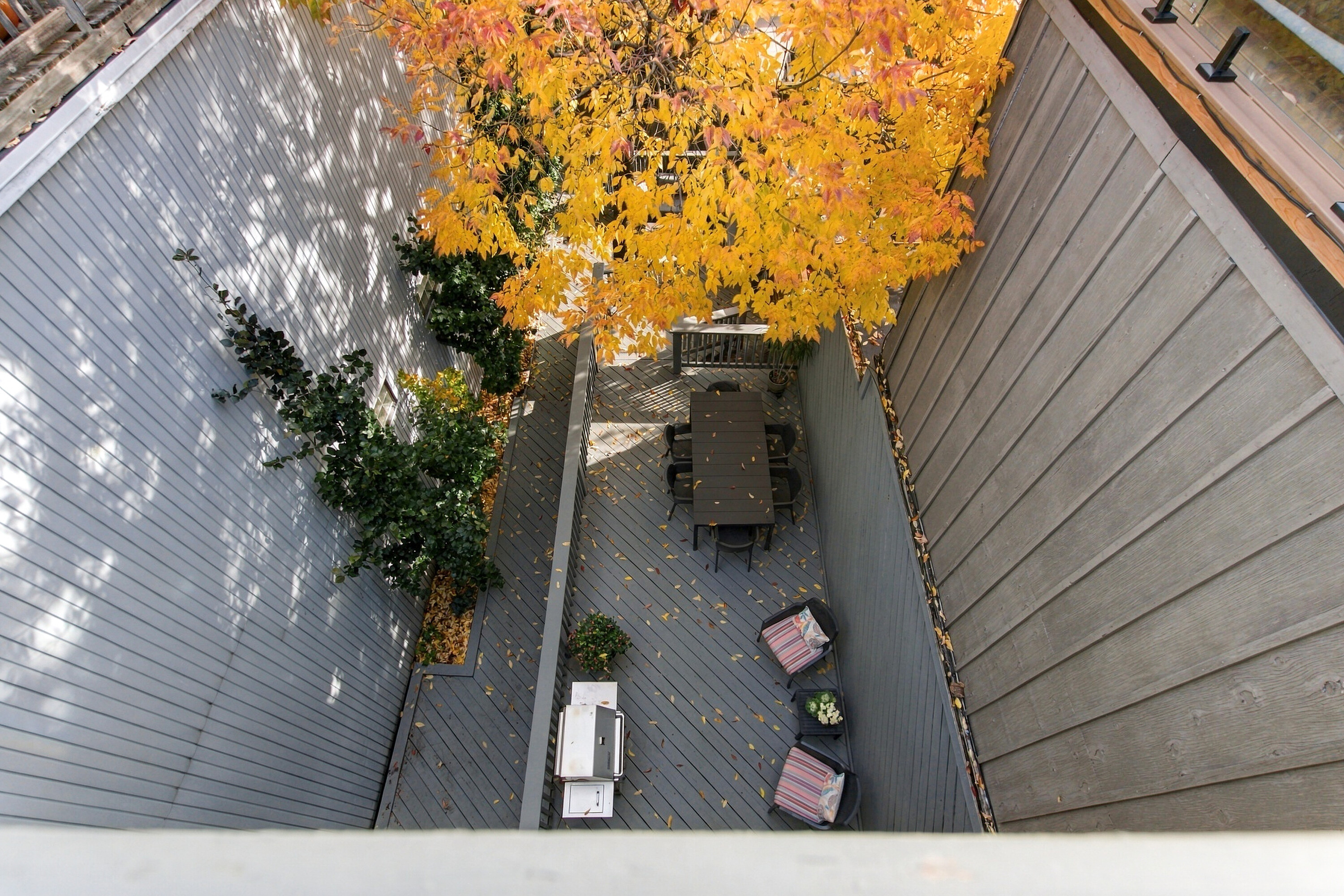  411 Wellesley Street E - 物件實景