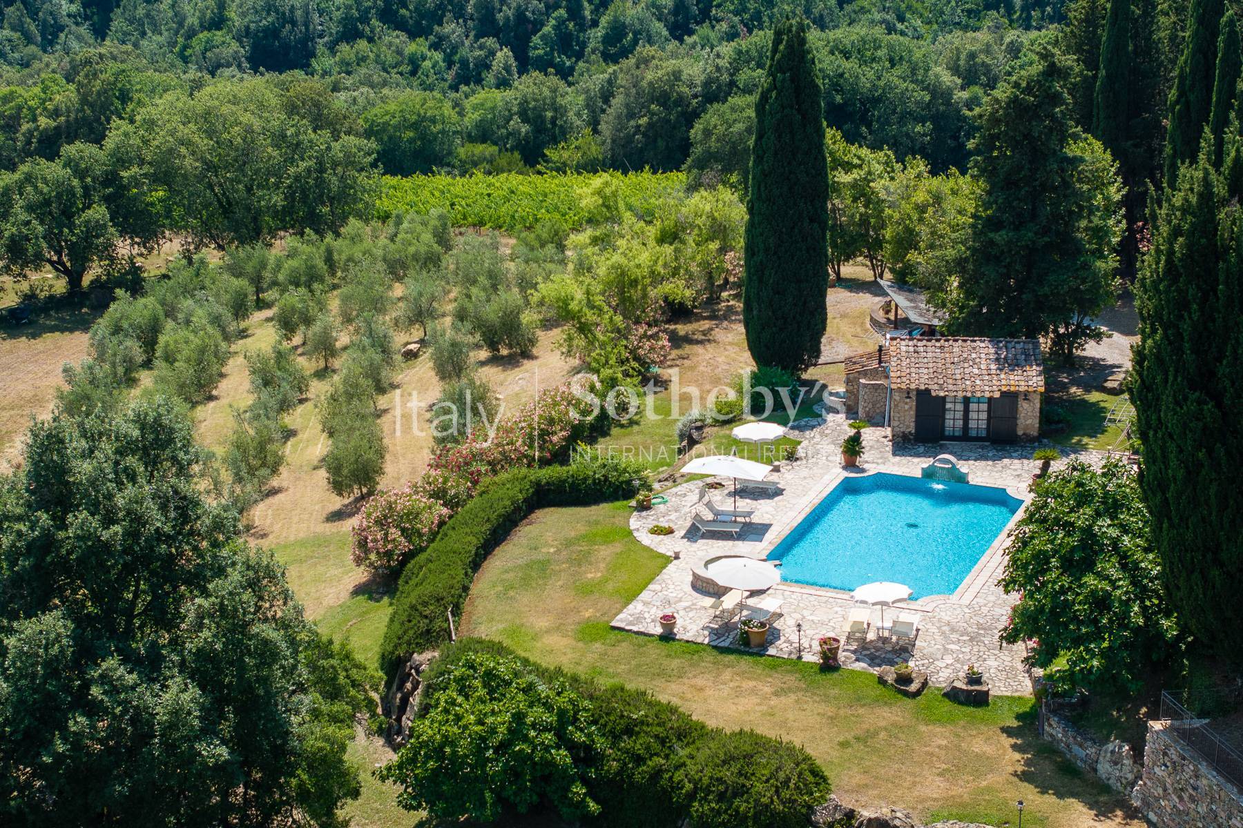  Exclusive panoramic estate in the upper Maremma - 物件實景