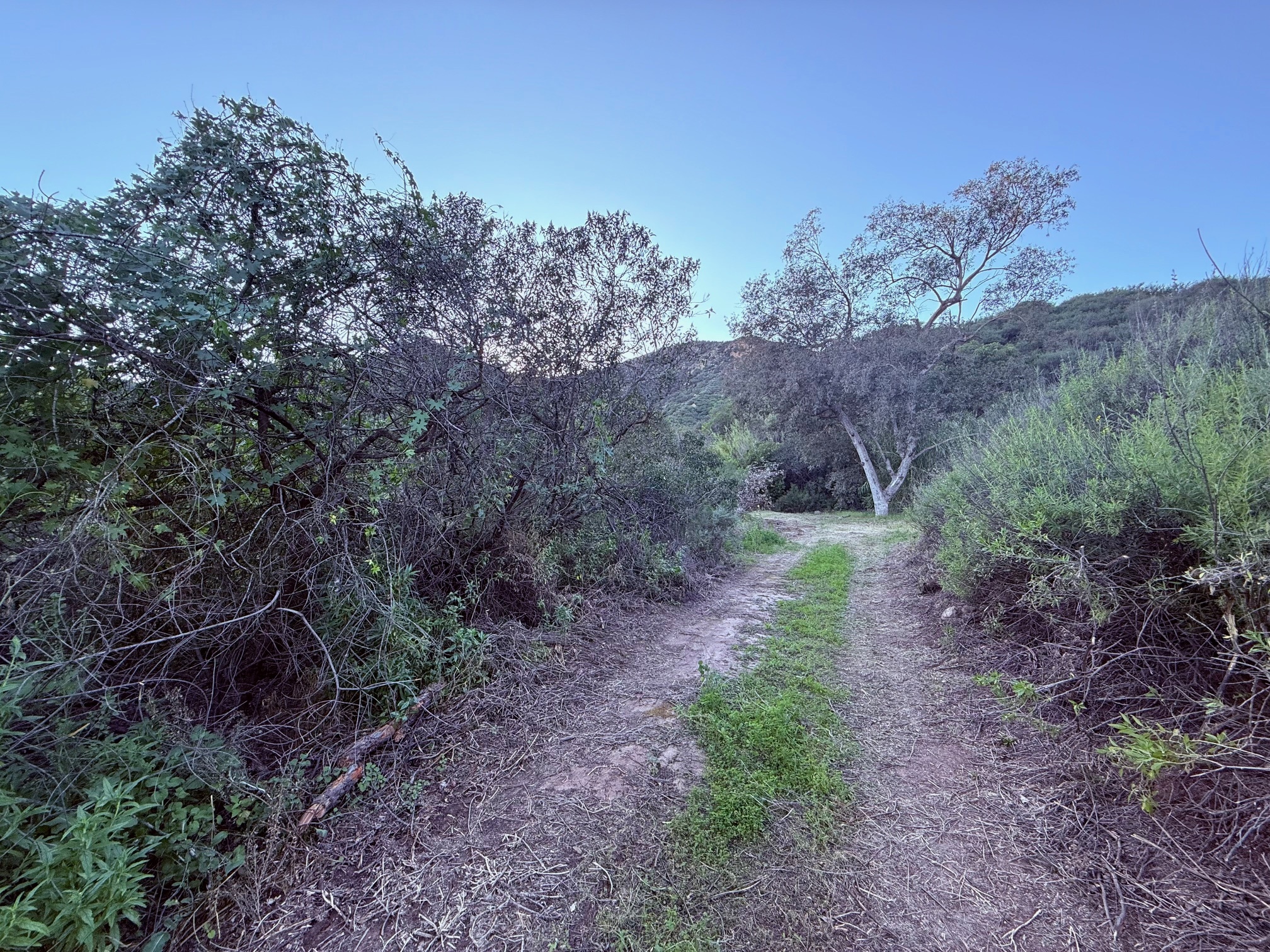  23629 Zuniga Rd - 物件實景