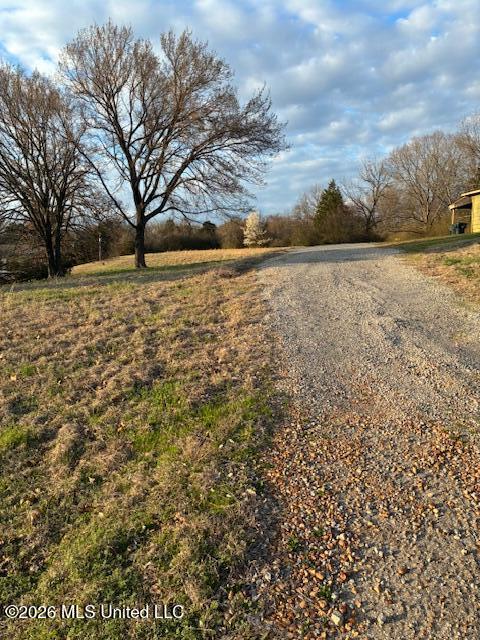 Stonewall Rd, Byhalia, MS 38611 #1