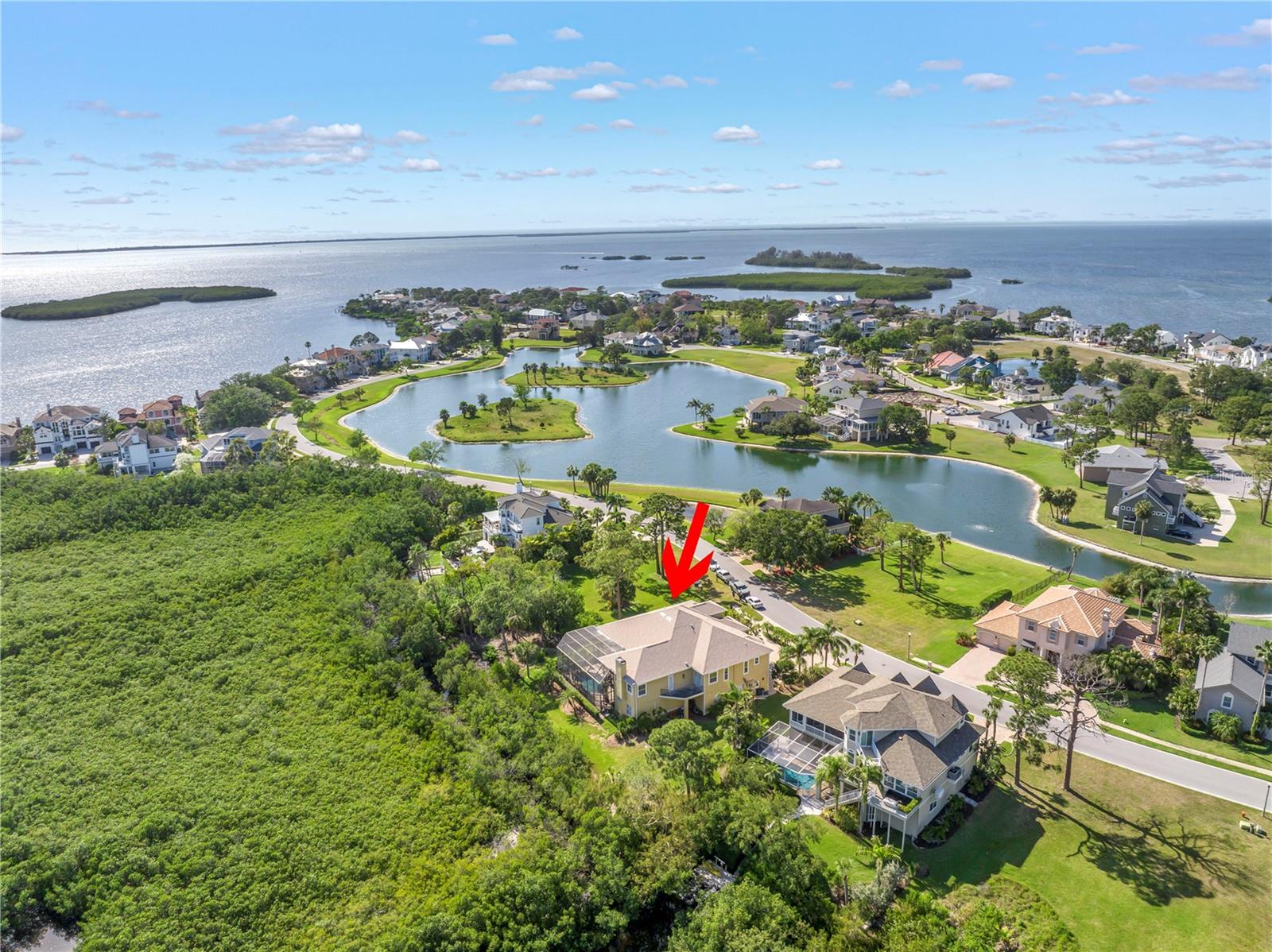 Tarpon Springs, Florida, 34689, United States, 4 Bedrooms Bedrooms, ,4 BathroomsBathrooms,Residential,For Sale,1975840