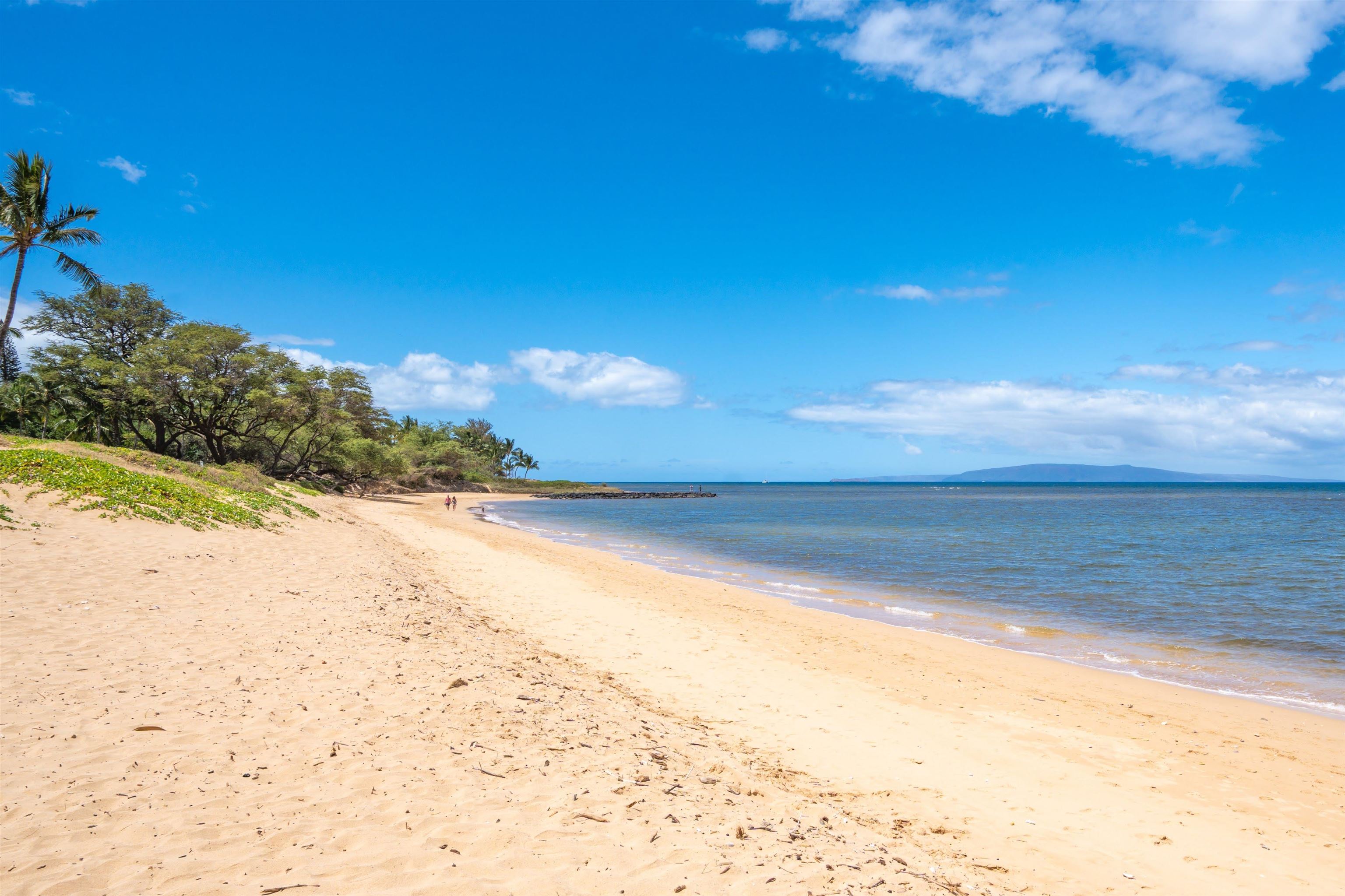 Kihei, Hawaii, 96753, United States, 1 Bedroom Bedrooms, ,1 BathroomBathrooms,Residential,For Sale,1859885