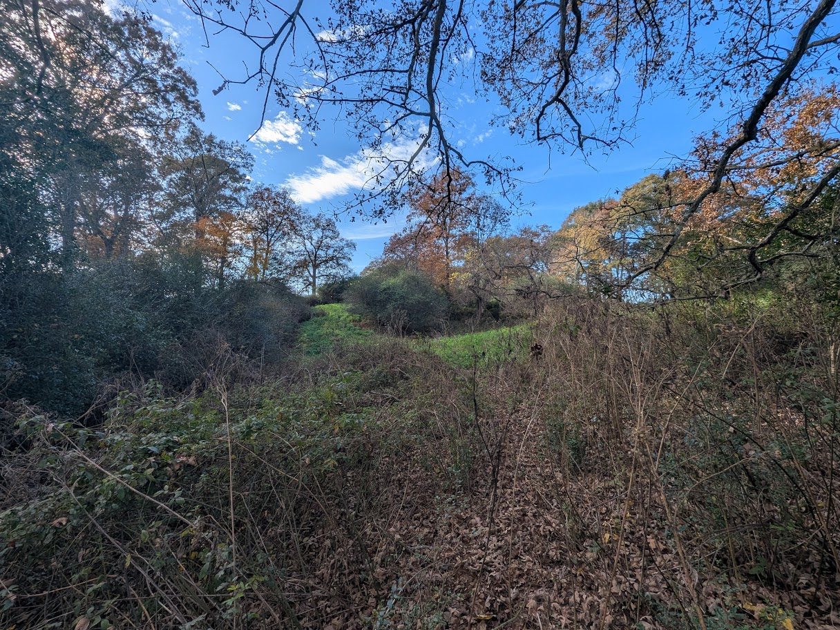 Bowdon, Georgia, 30108, United States, ,Land,For Sale,1989904