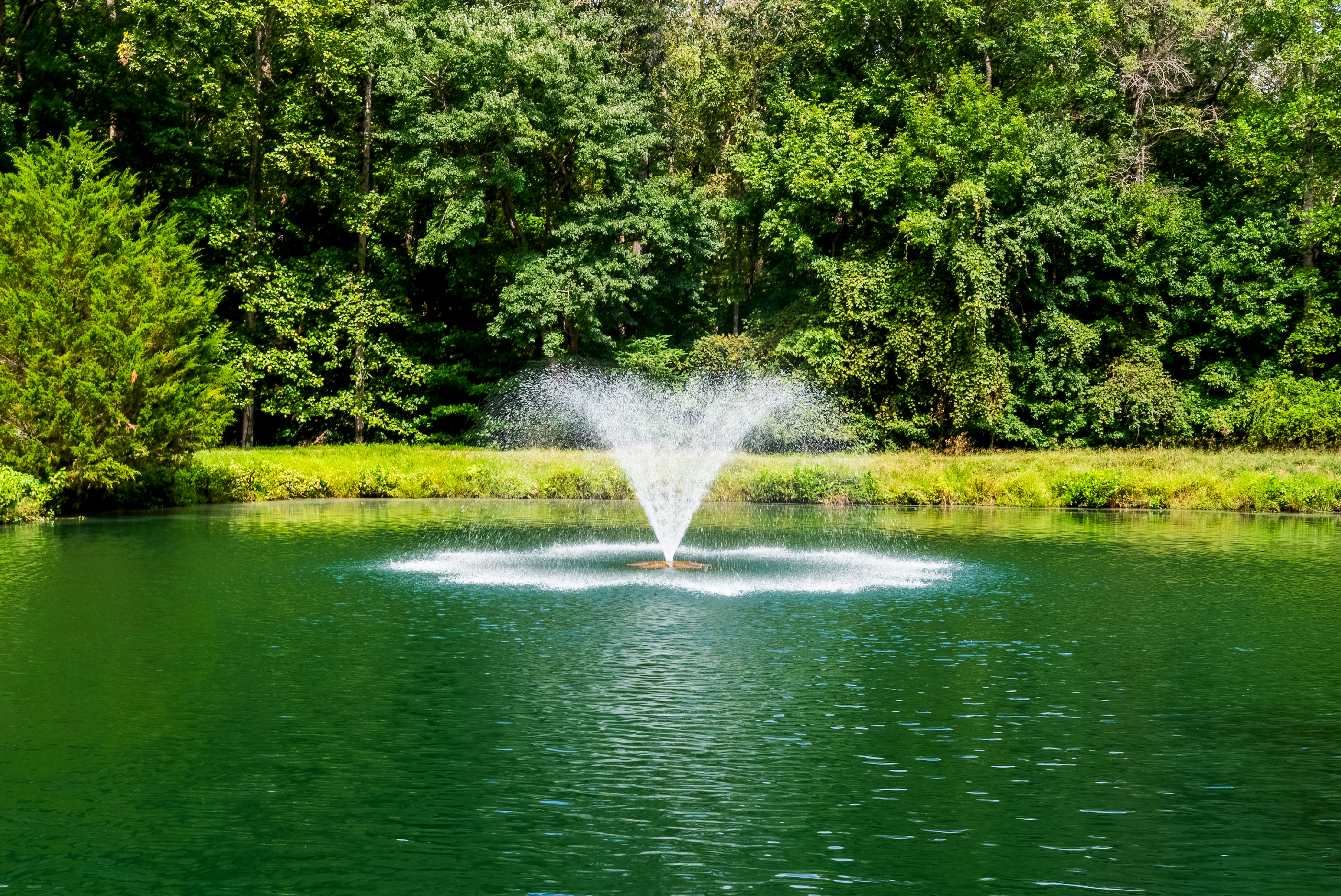  5131 Oholloran Way, Williamsburg, VA, 23188 - 物件實景