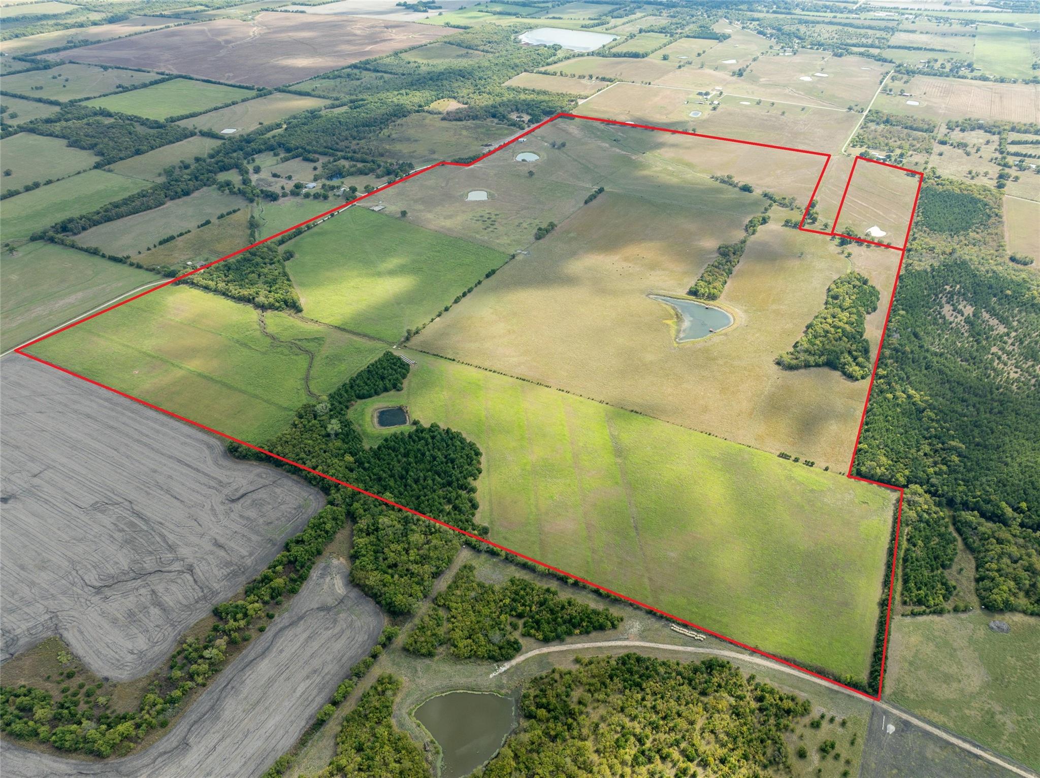 Blossom, Texas, 75416, United States, ,Residential,For Sale,1977937