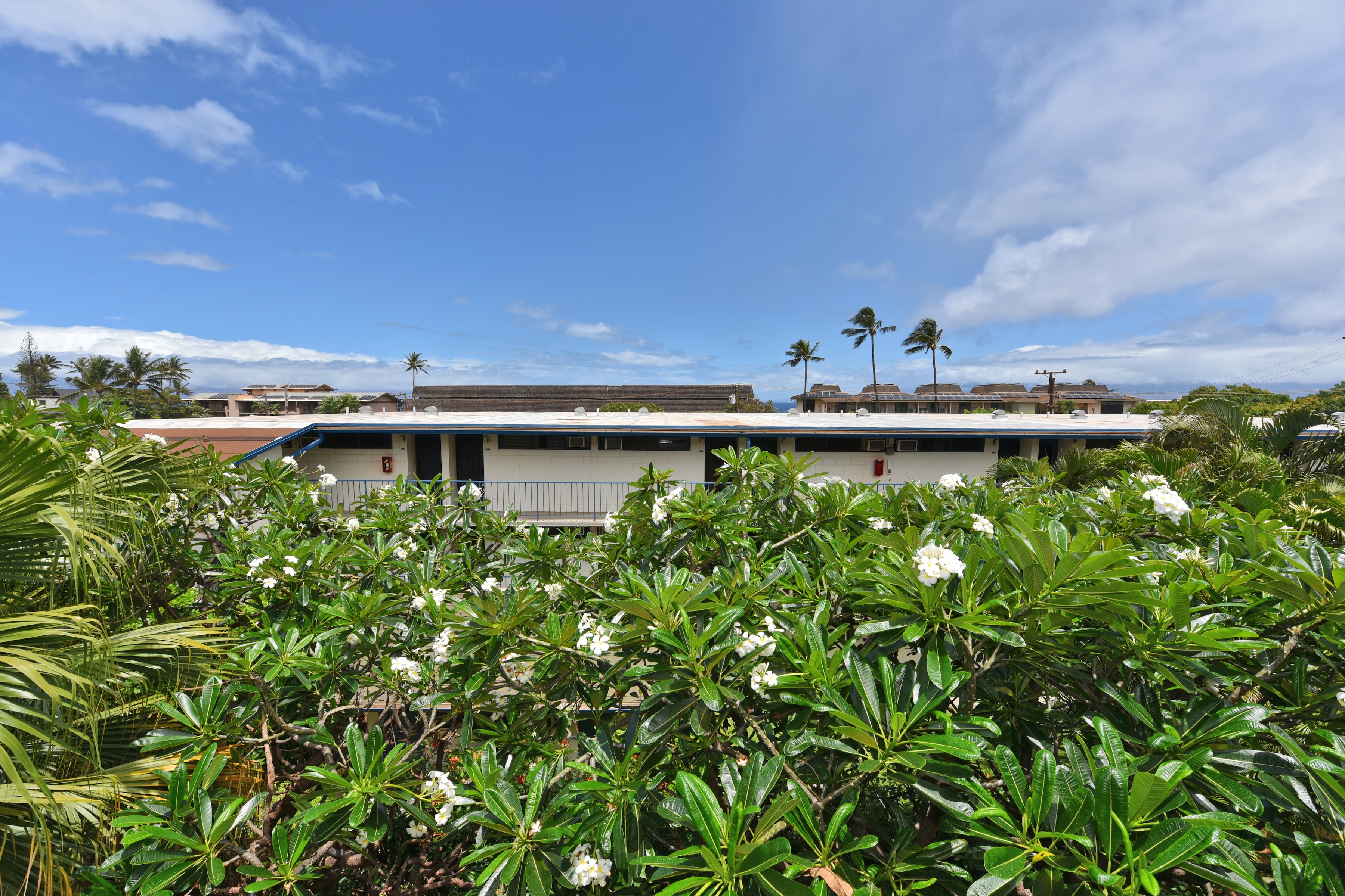  Unlock the potential of this top-floor 1 bedroom condo in West Maui - 物件實景