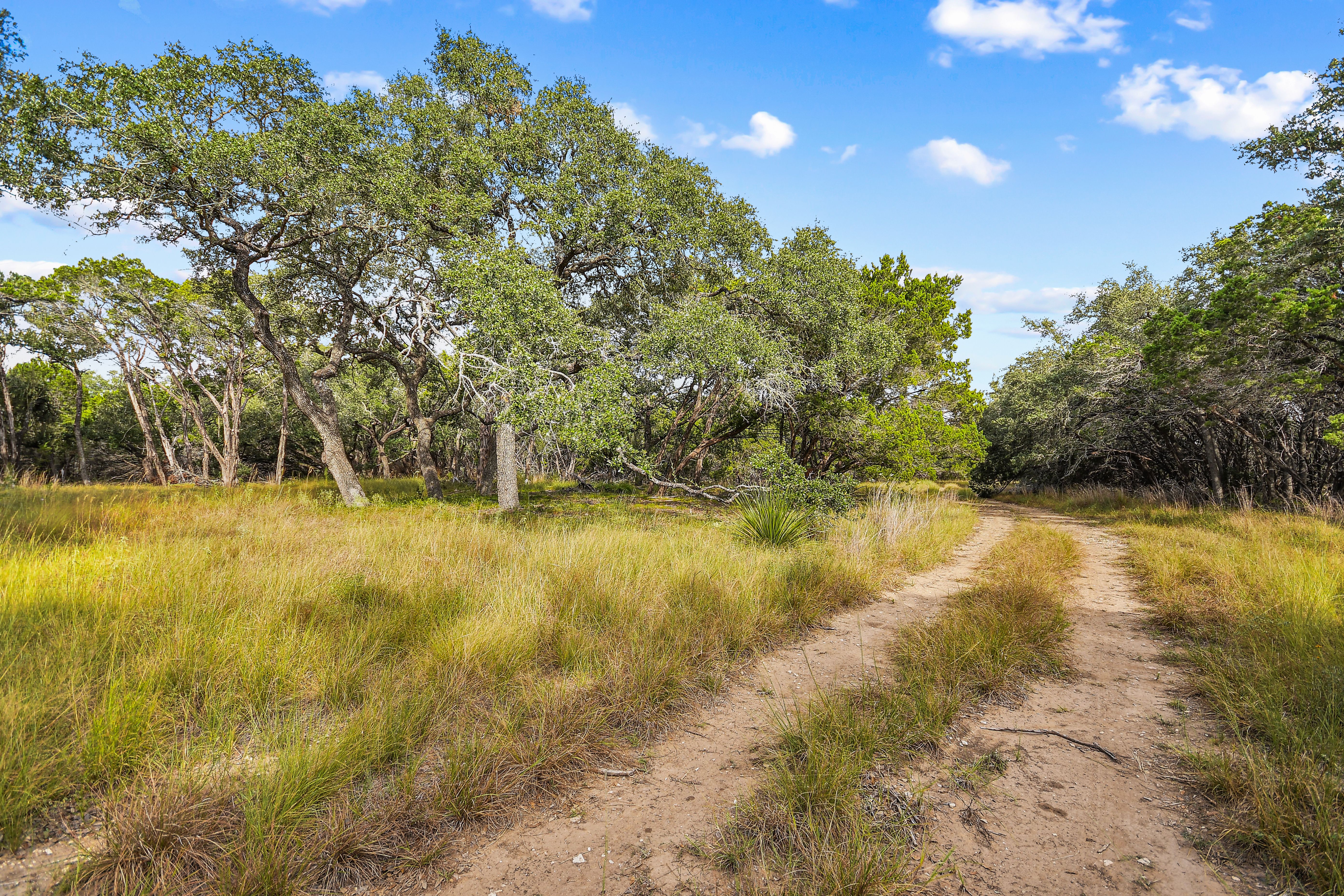  TBD Hwy 46 / Madrona Ranch Road, Pipe Creek, TX 78063 - 物件實景