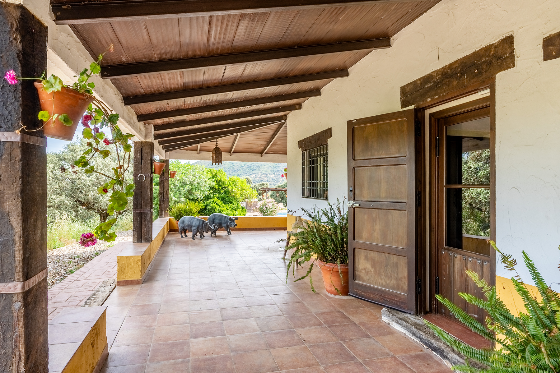  Recreational and hunting estate in the Sierra de Córdoba - 物件實景