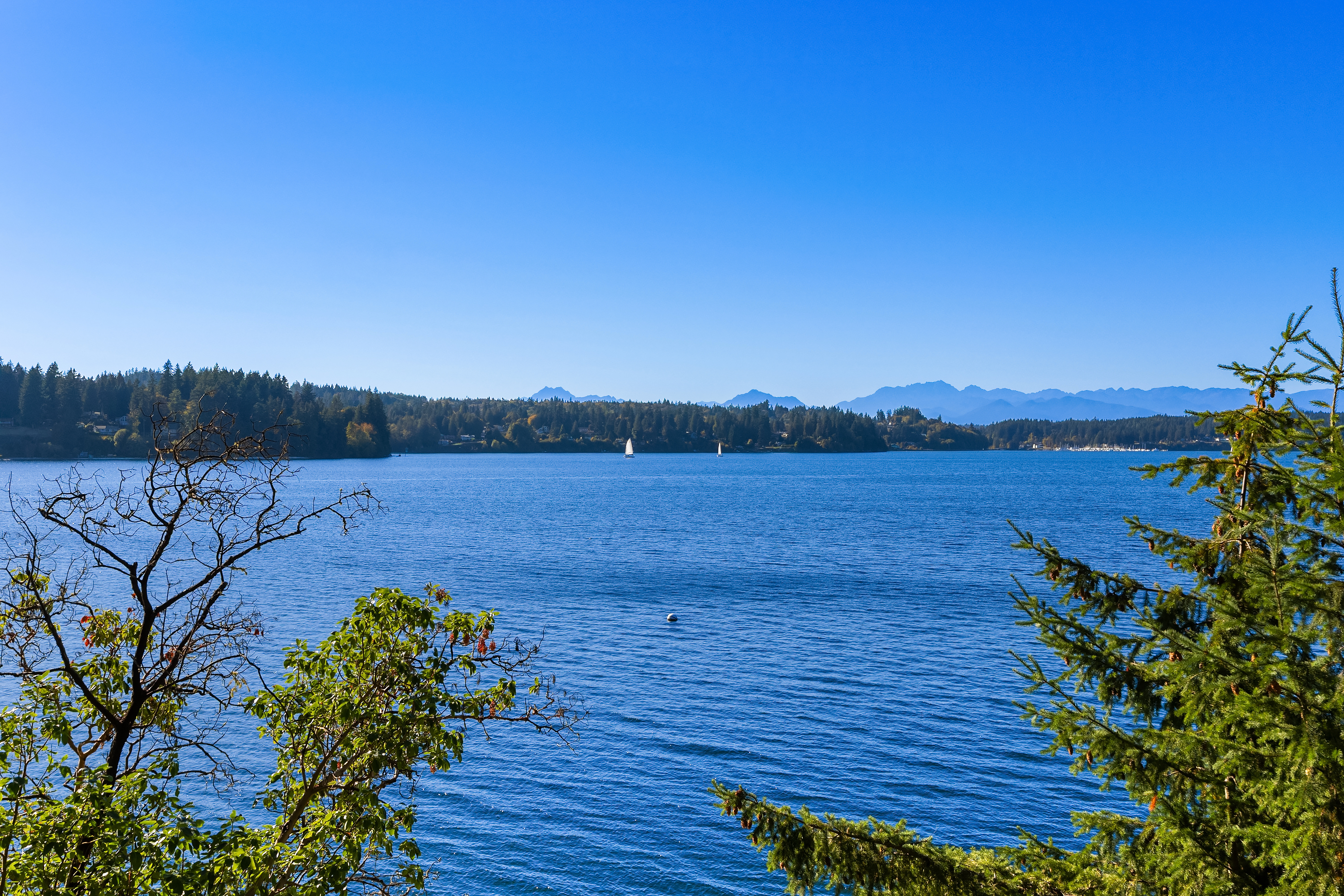  8405 Hansen Road Northeast, Bainbridge Island, WA 98110 - 物件實景