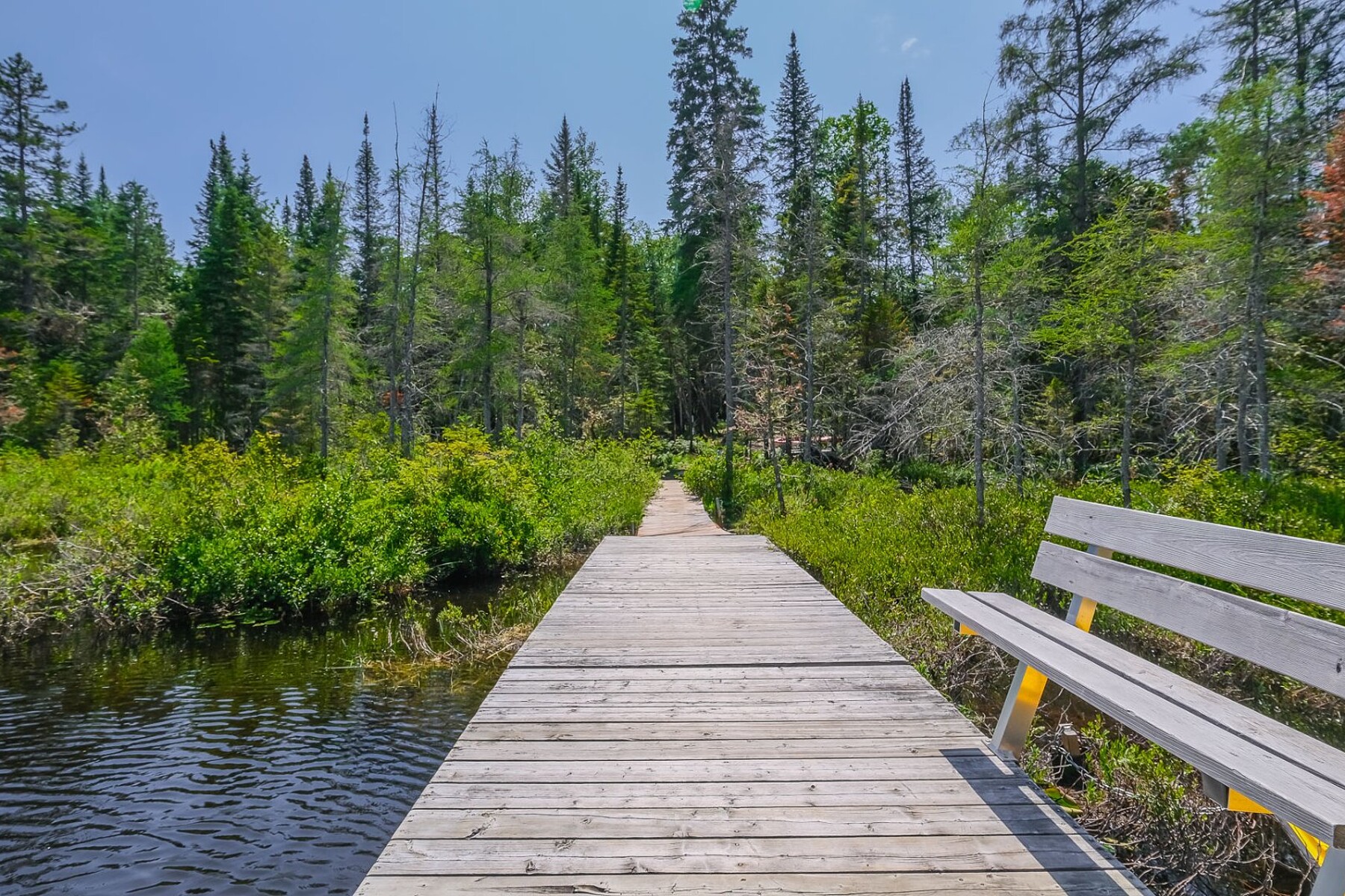  Sainte-Marguerite-du-Lac-Masson, Laurentides - 物件實景