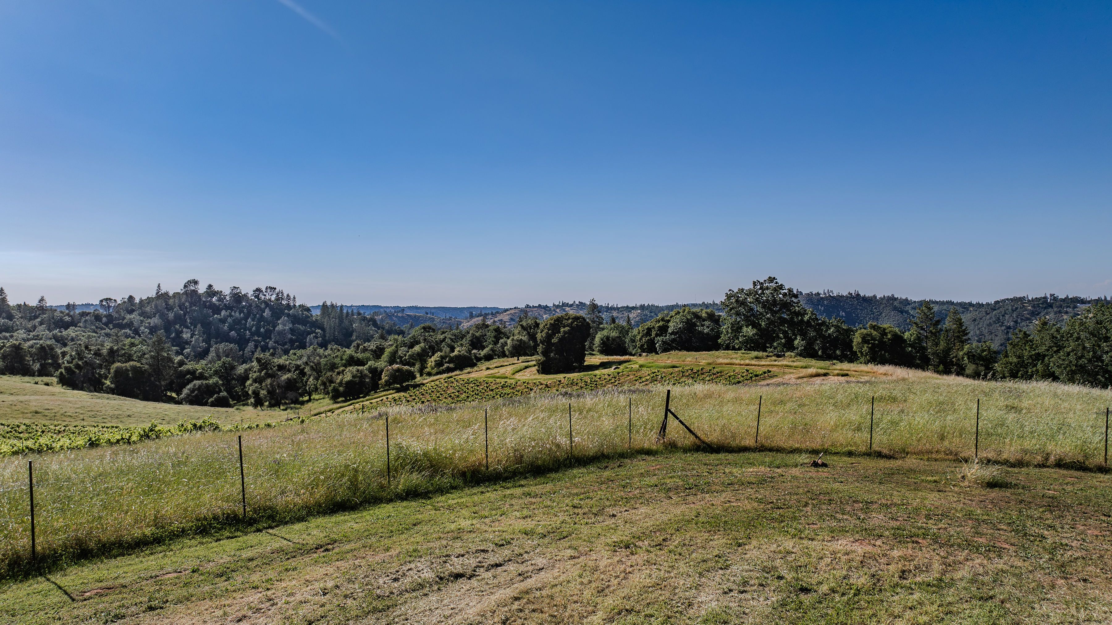  12551 Steiner Road, Plymouth, CA 95669 - 物件實景