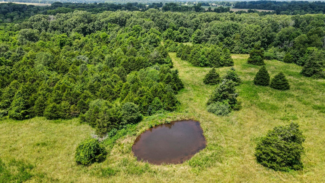 Peace Valley, Missouri, 65788, United States, 5 Bedrooms Bedrooms, ,1 BathroomBathrooms,Residential,For Sale,1980940