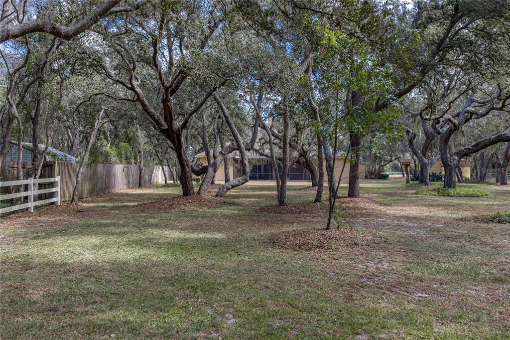 Riverview, Florida, 33569, United States, 4 Bedrooms Bedrooms, ,3 BathroomsBathrooms,Residential,For Sale,1991994