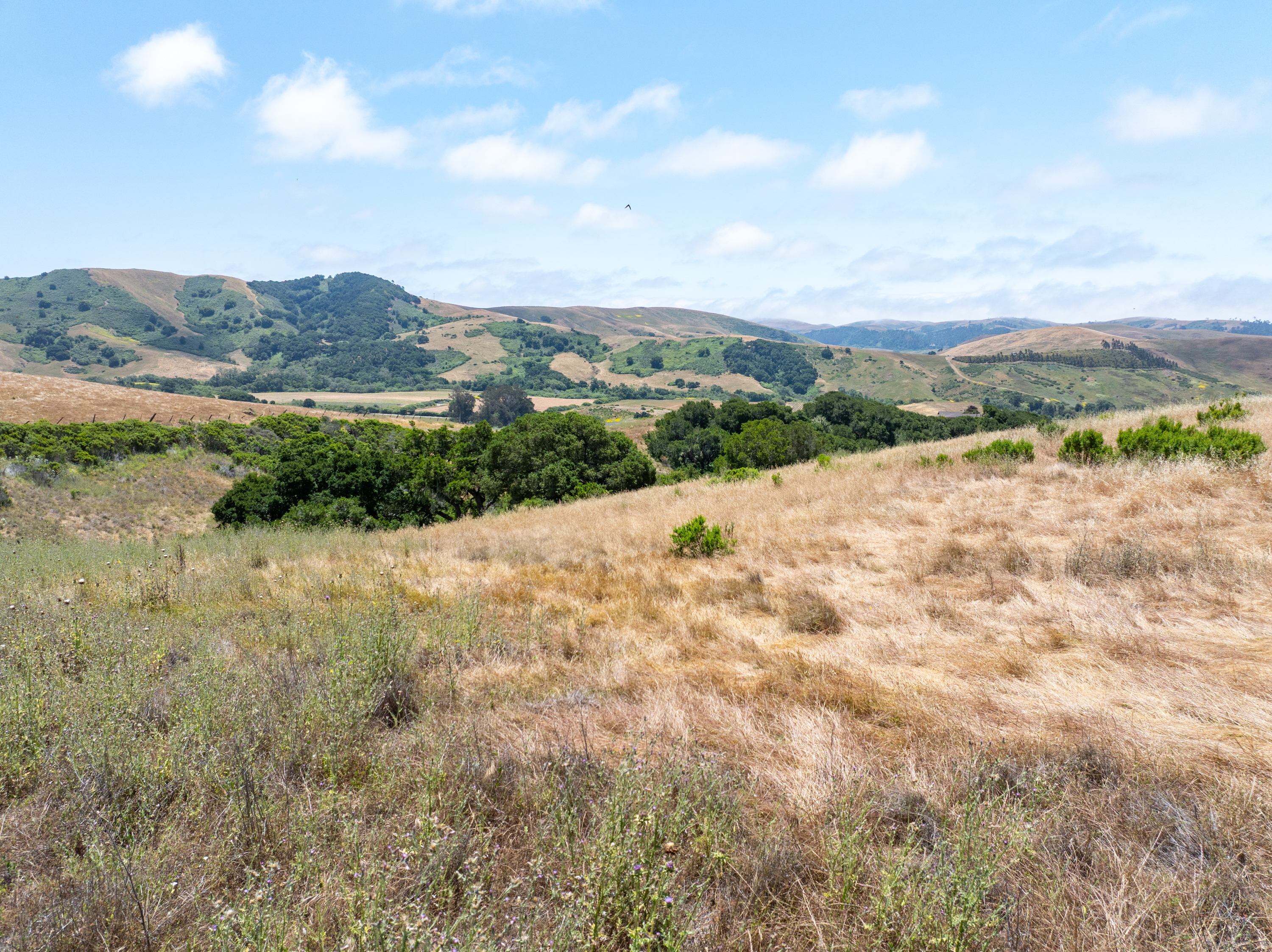  Homesite with Ocean and Mountain Views - 物件實景