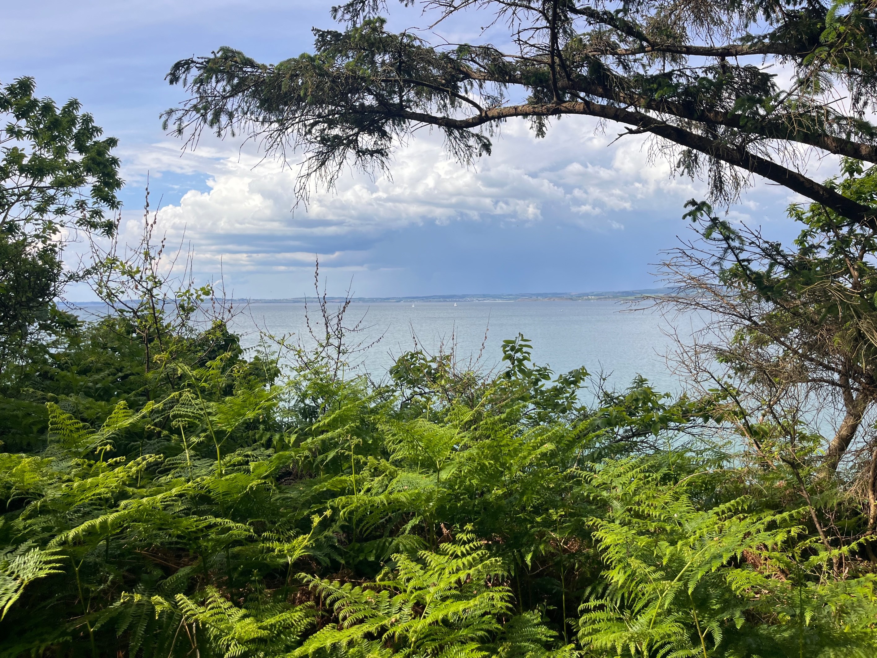  Douarnenez, Property with seaview. - 物件實景