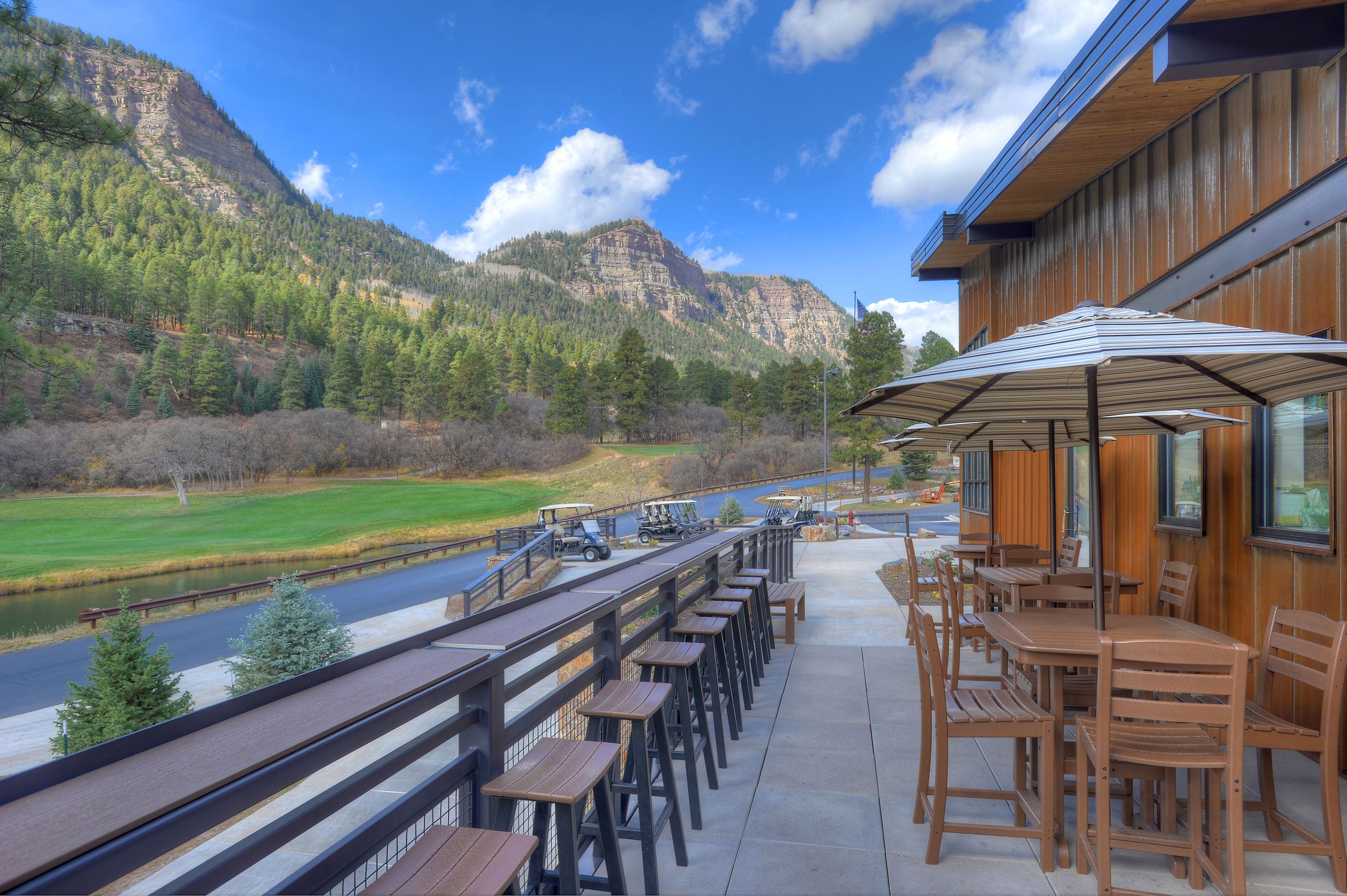  73 S Tamarron Drive #870, Durango, CO 81301 - 物件實景