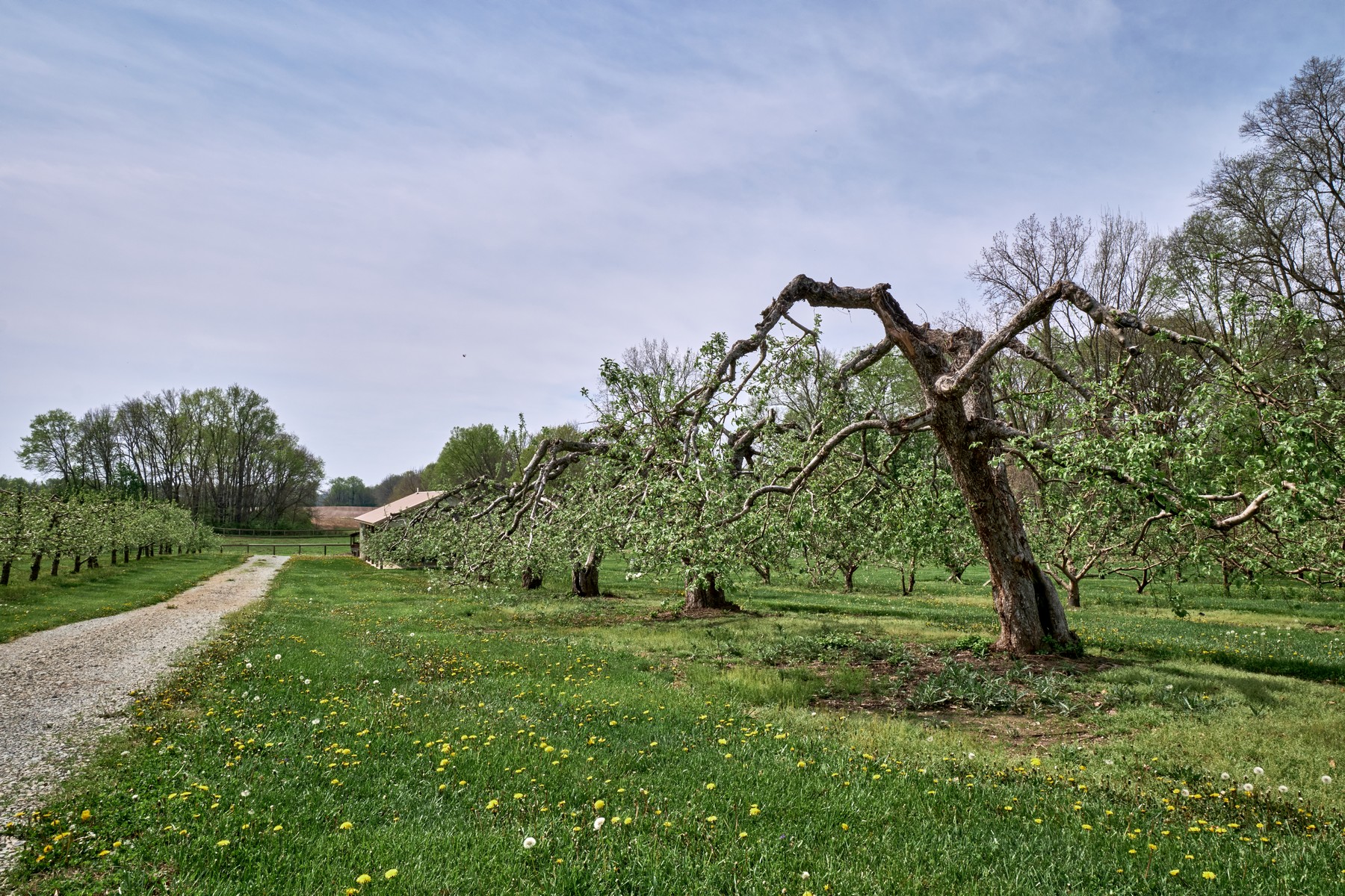  Premier Orchard & Winery with Luxurious Main House - 物件實景