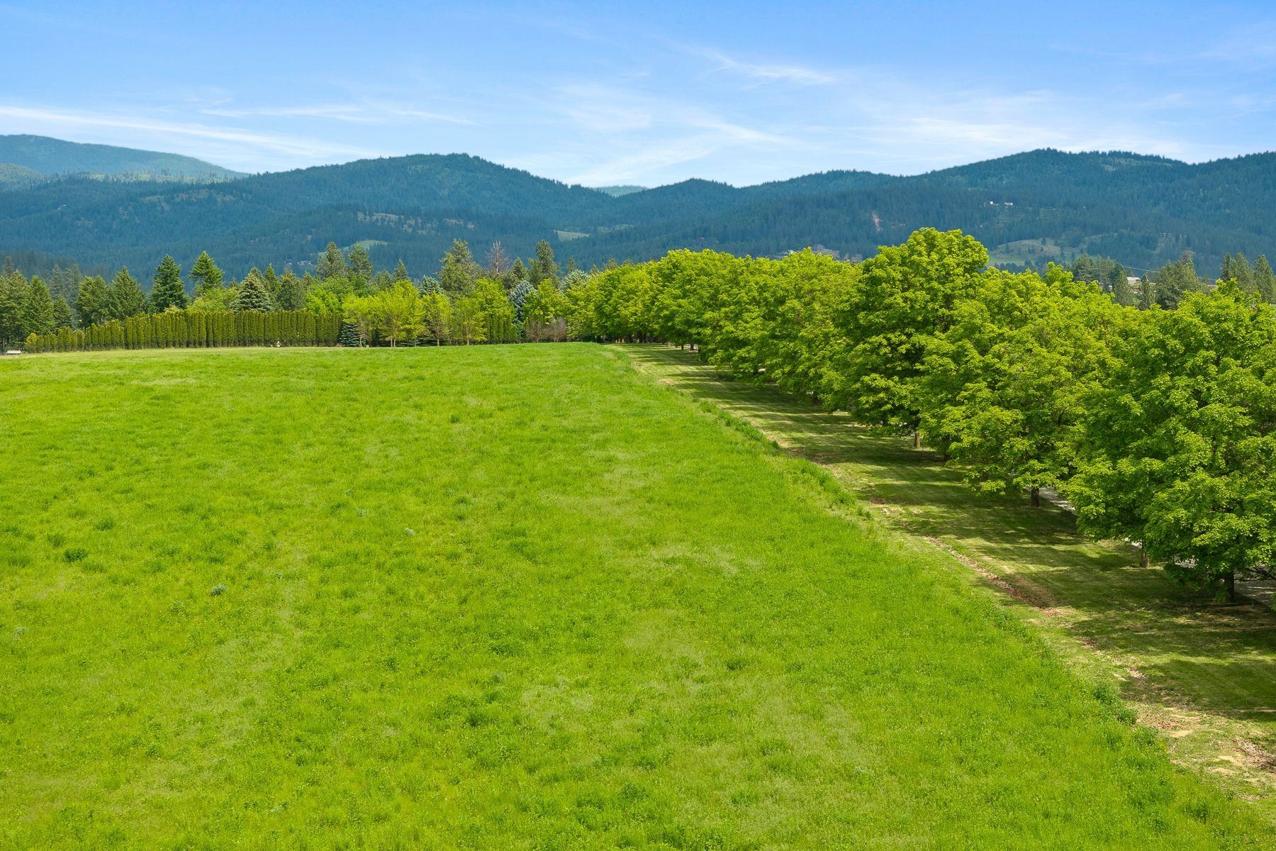 Mead, Washington, 99021, United States, ,Land,For Sale,1977316