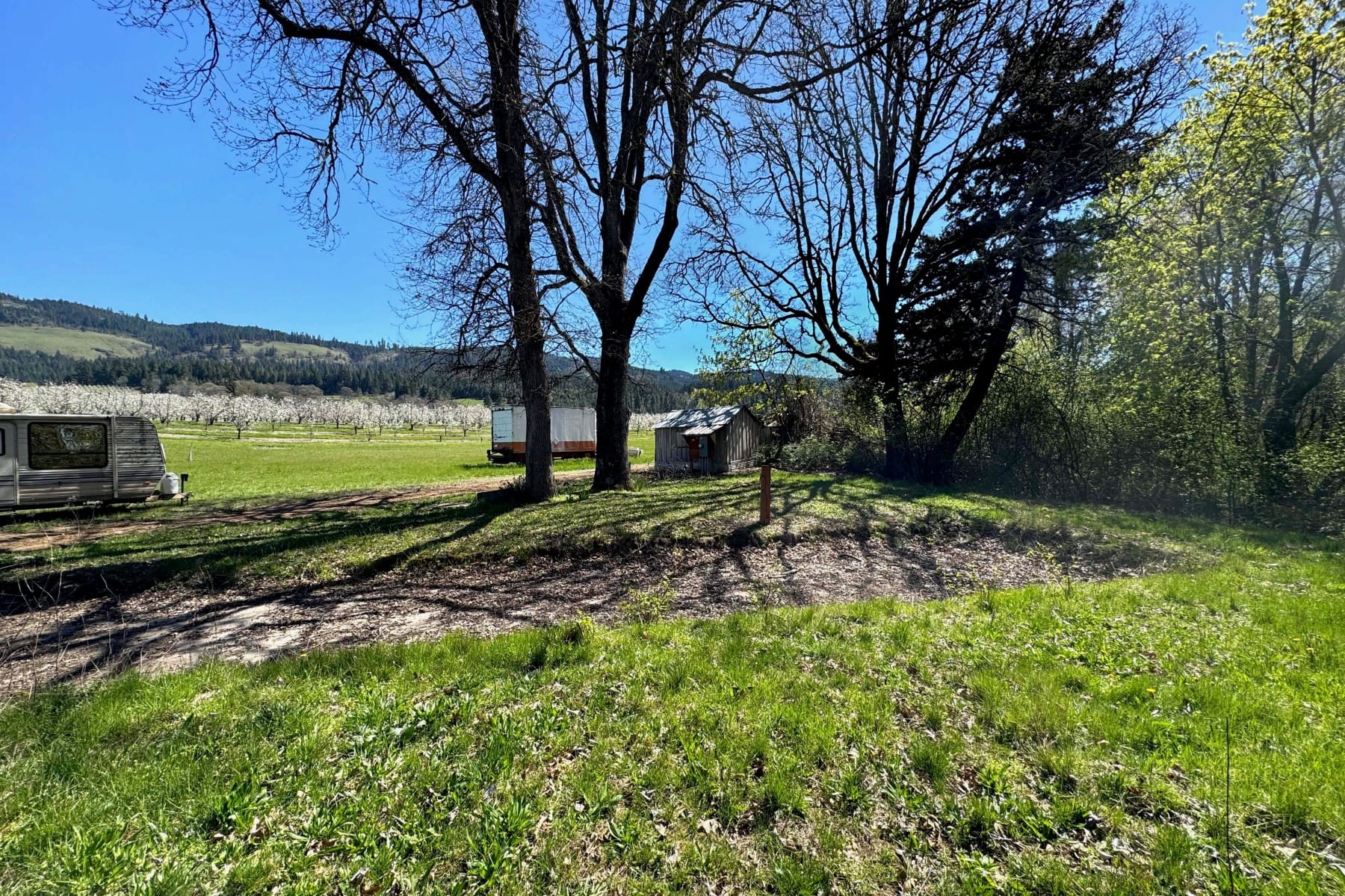  3316 THOMSEN RD Hood River, OR 97031 - 物件實景
