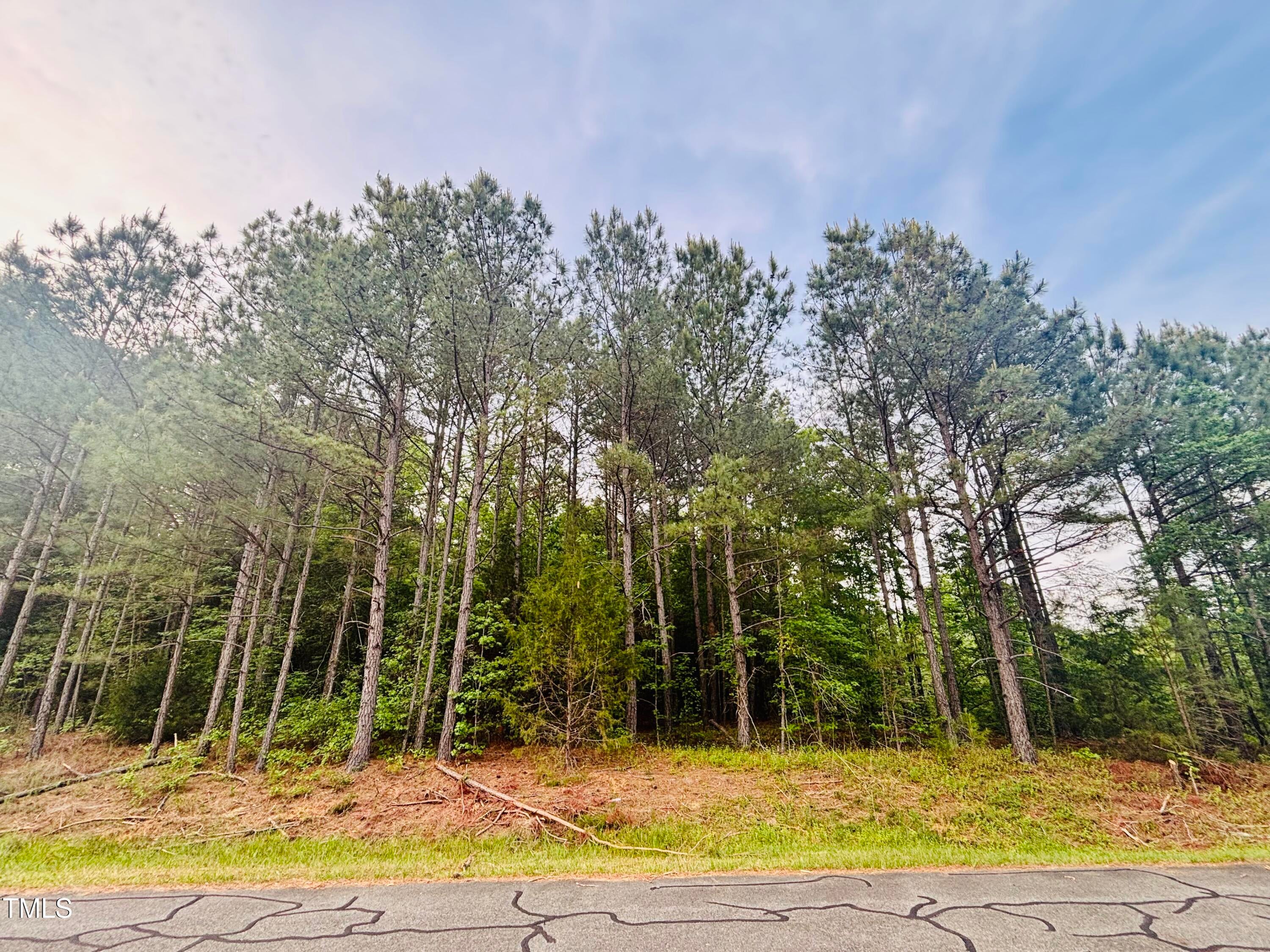 Pittsboro, North Carolina, 27312, United States, ,Land,For Sale,1786582