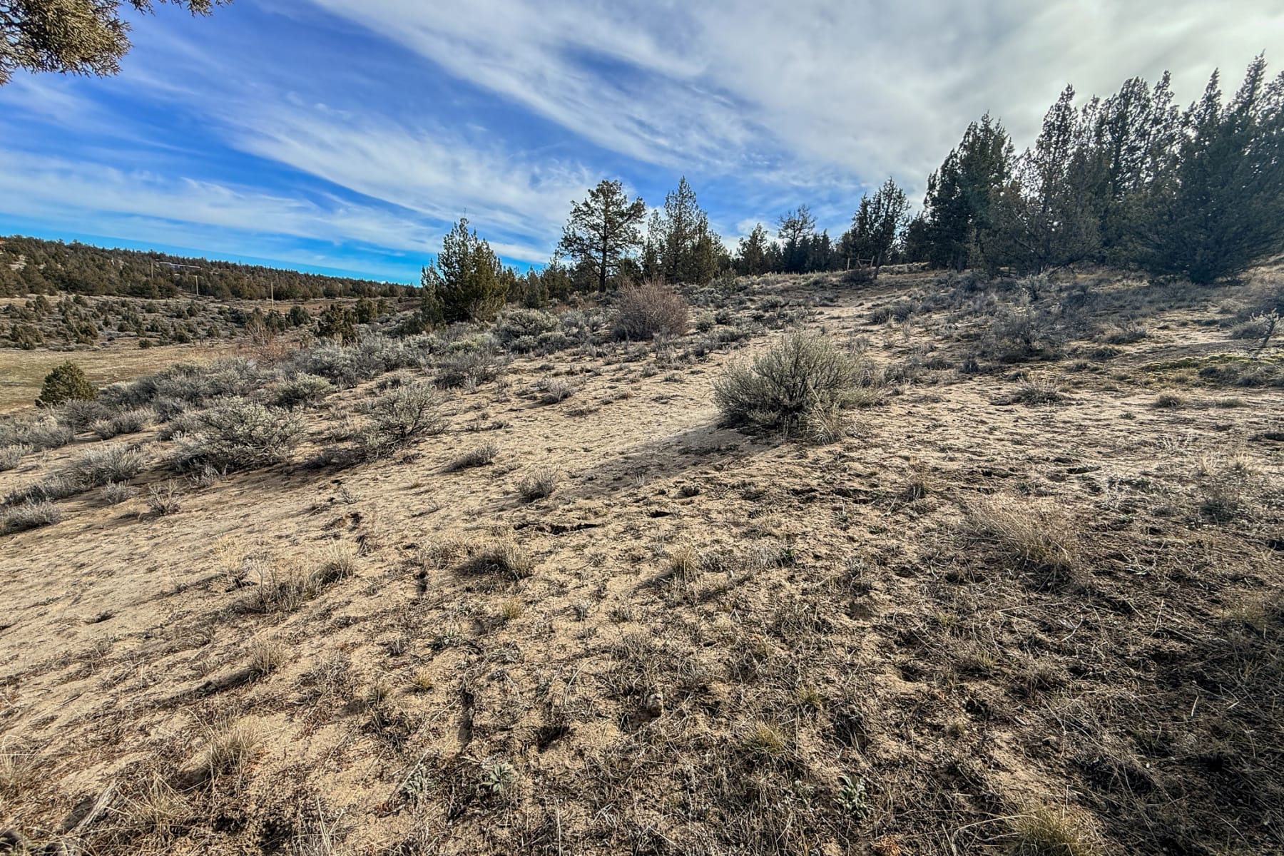  2600 SE TL 2600 Seneca Road Prineville, OR 97754 - 物件實景