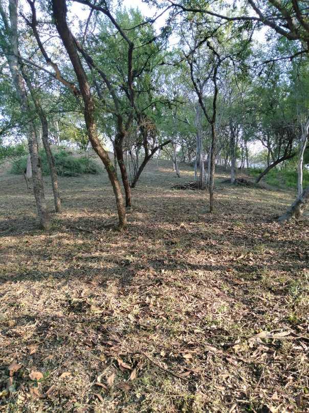 gonzalez, Santiago, Nuevo León, 67300, Mexico, 1 Bedroom Bedrooms, ,Residential,For Sale,gonzalez,1441494