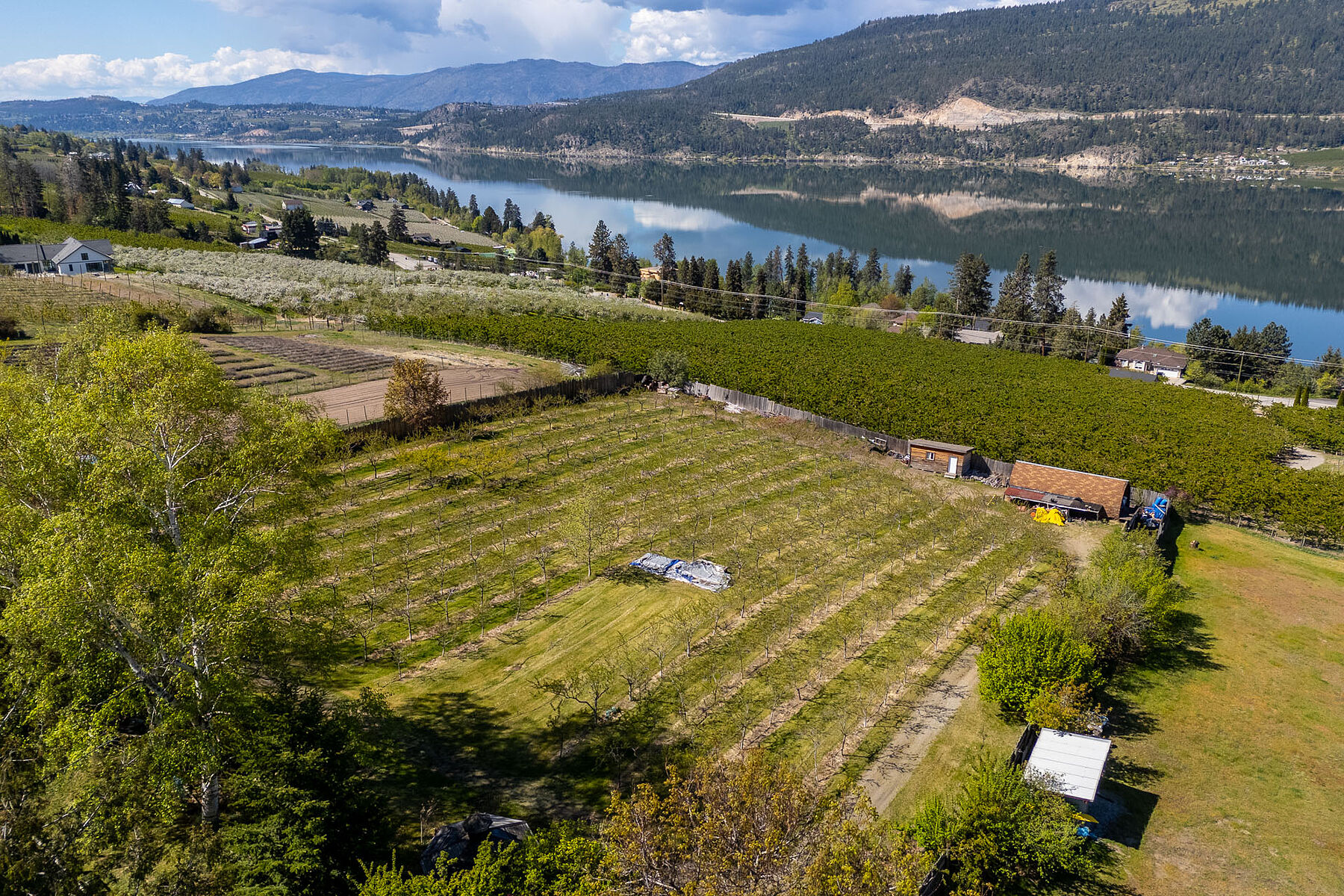 2.63 Acres in Oyama - 物件實景