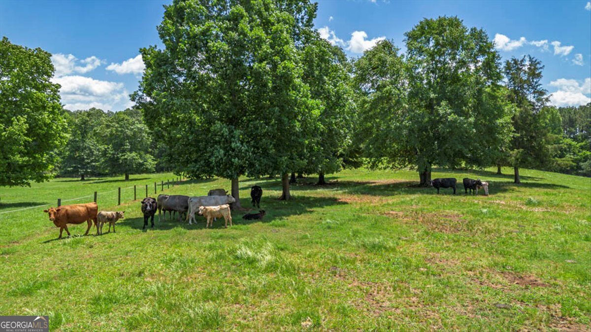Colbert, Georgia, 30268, United States, ,Land,For Sale,1827038