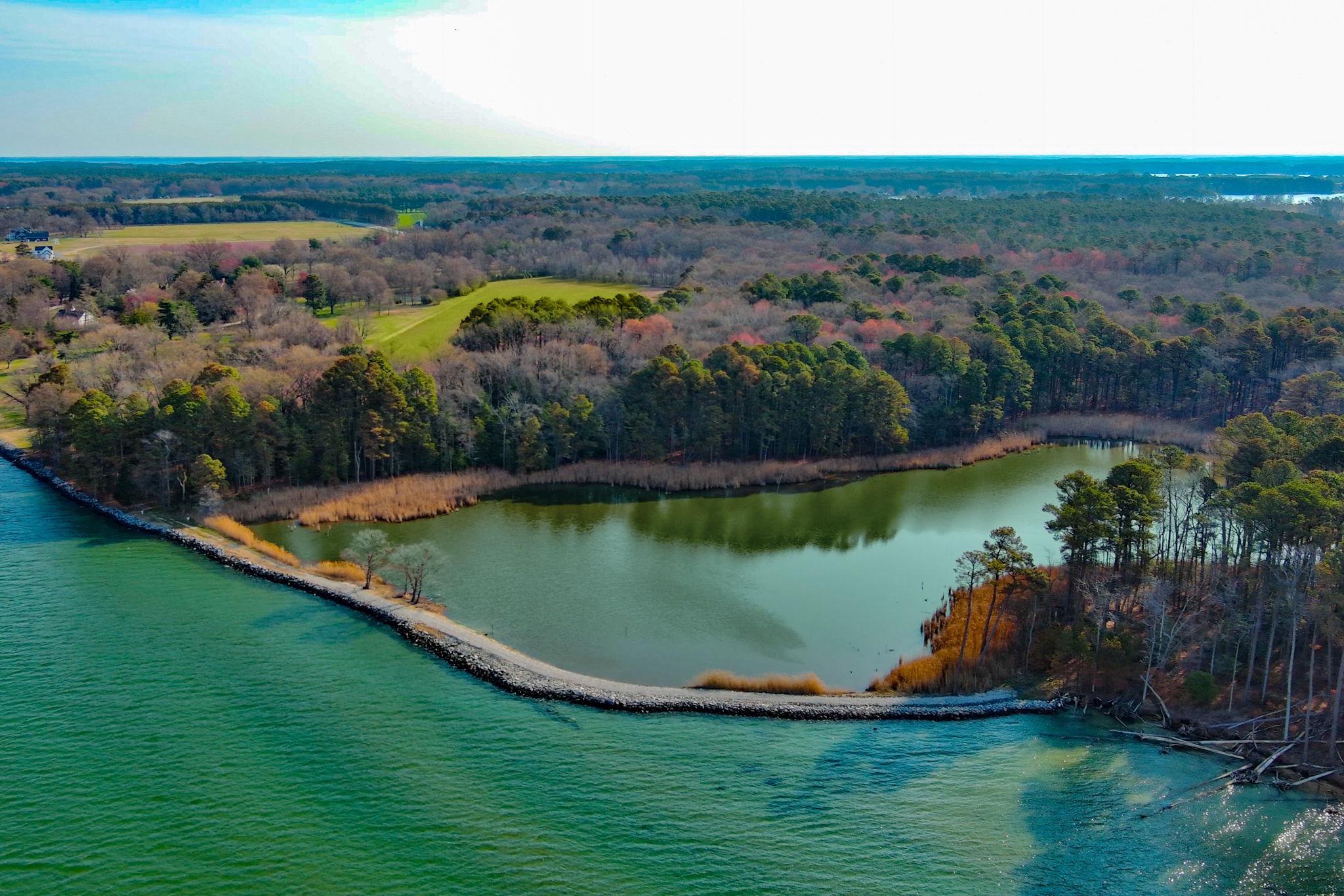  8612 Tilghman Island Road, Wittman, MD, 21676 - 物件實景