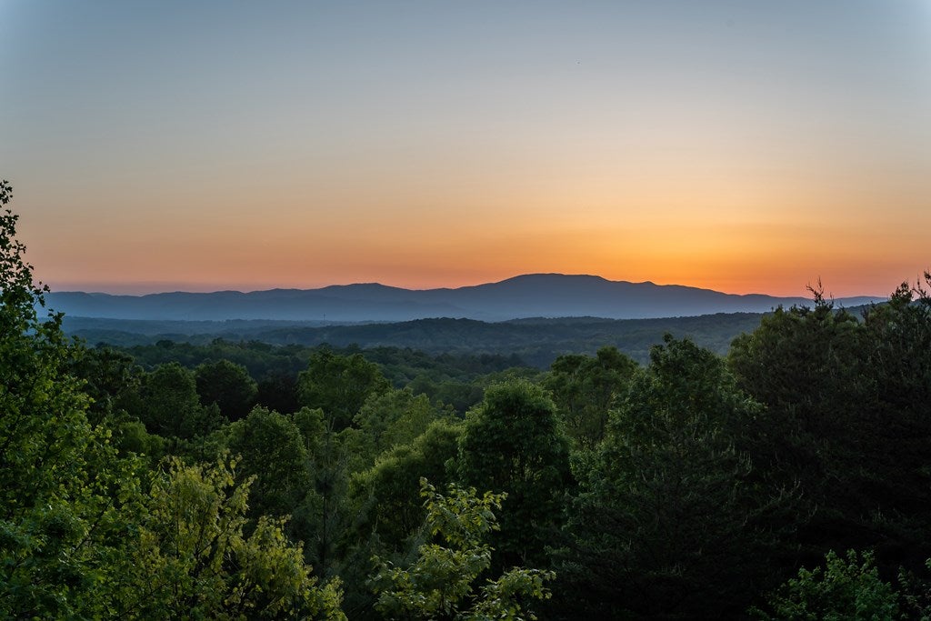 Mineral Bluff, Georgia, 30559, United States, 3 Bedrooms Bedrooms, ,3 BathroomsBathrooms,Residential,For Sale,1986292