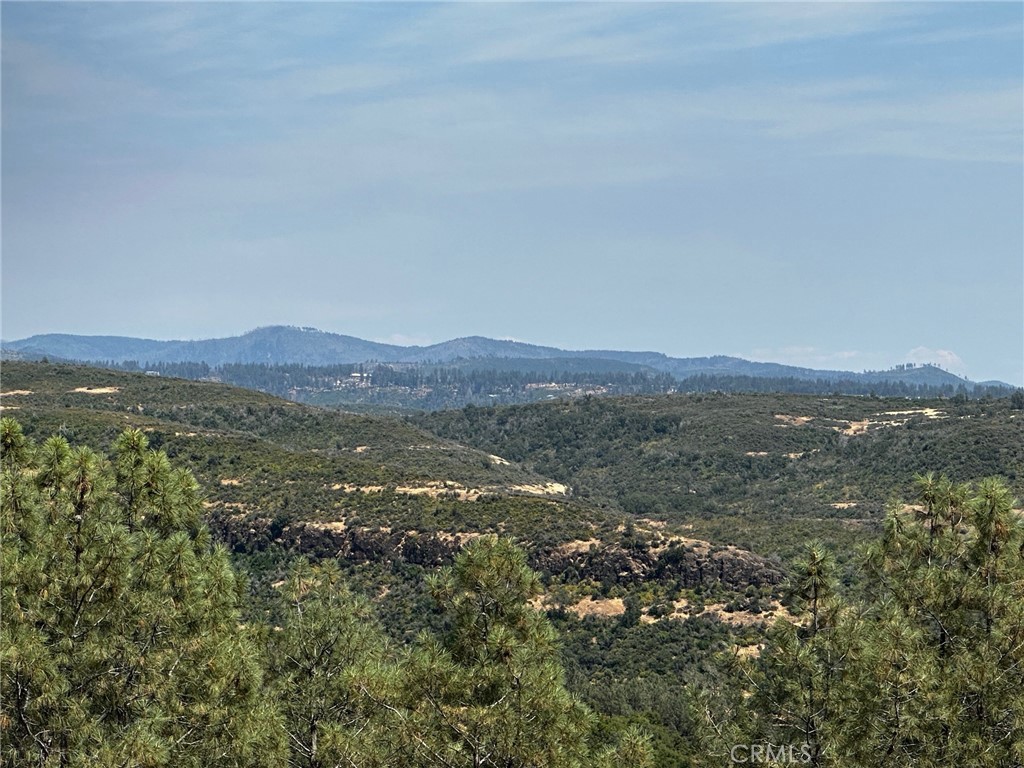 Chico, California, 95928, United States, ,Land,For Sale,1974273