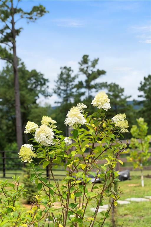 Rome, Georgia, 30165, United States, ,Land,For Sale,1892024