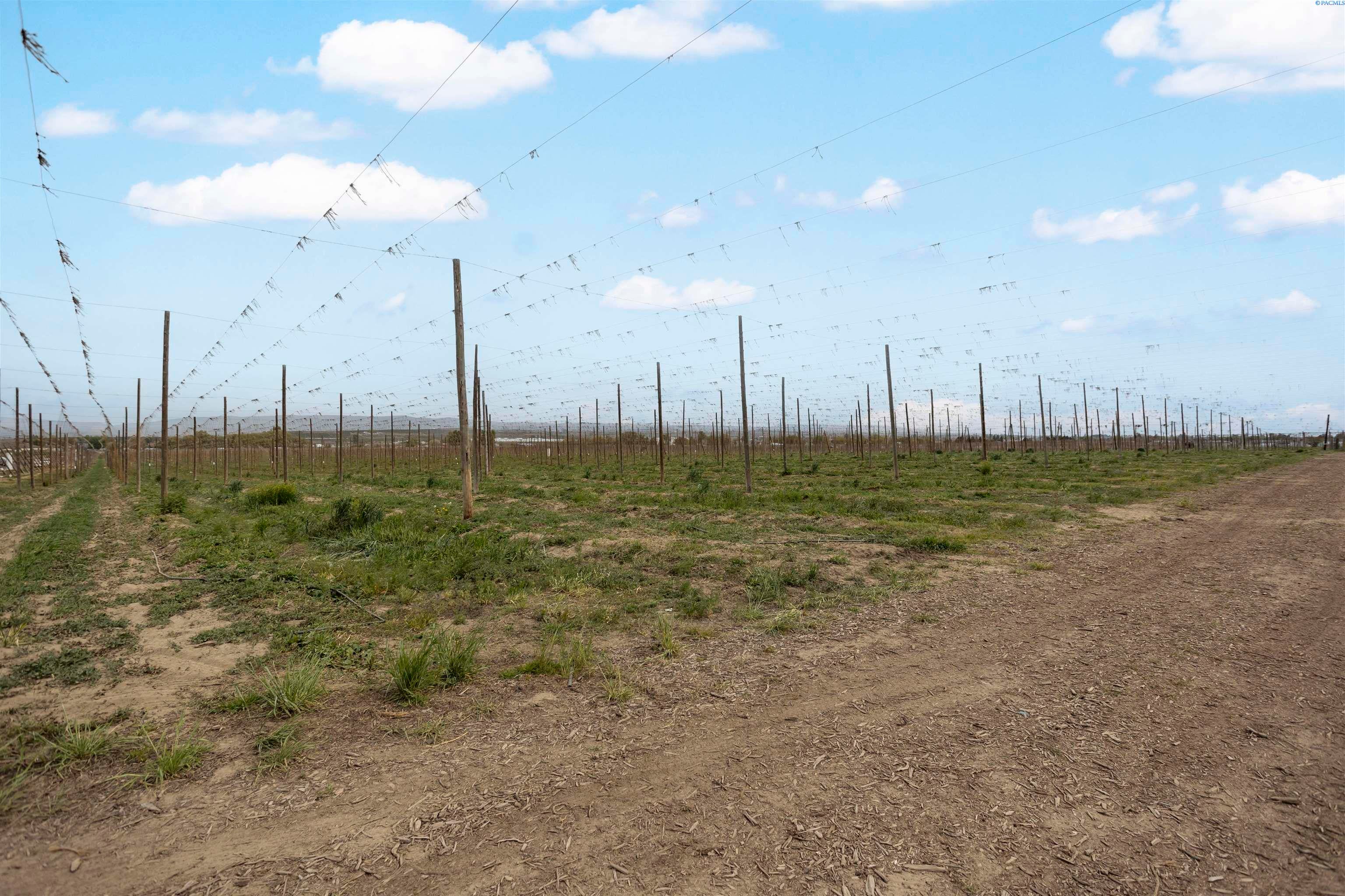 Grandview, Washington, 98930, United States, ,Land,For Sale,1981423