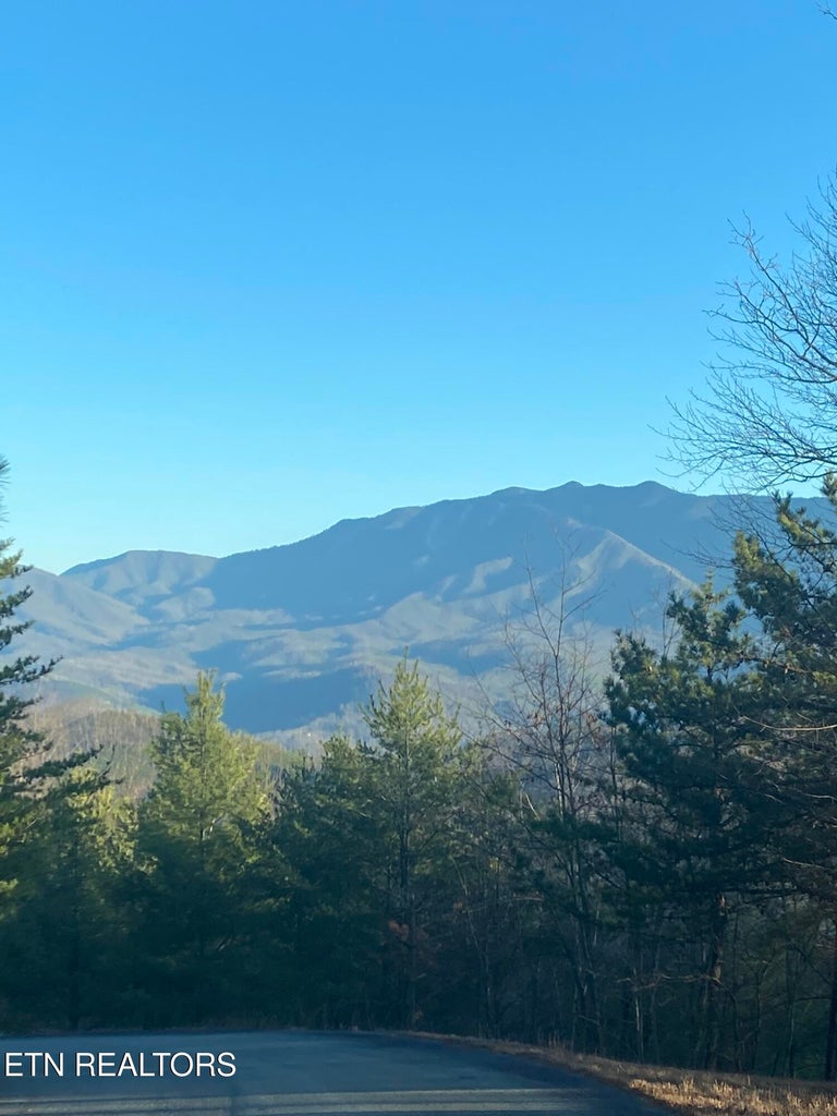 Gatlinburg, Tennessee, 37738, United States, 3 Bedrooms Bedrooms, ,3 BathroomsBathrooms,Residential,For Sale,1982516