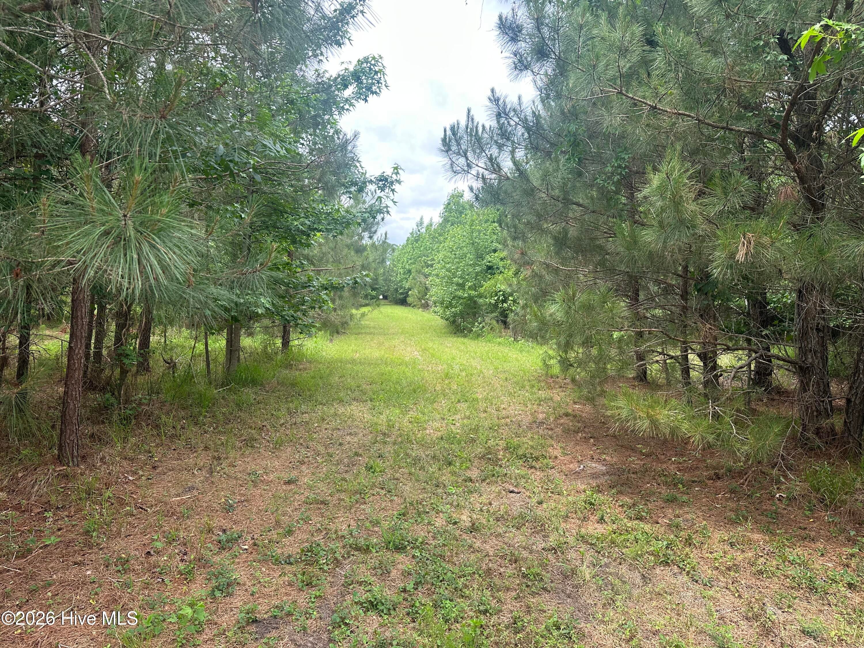 Ahoskie, North Carolina, 27910, United States, ,Land,For Sale,2048833