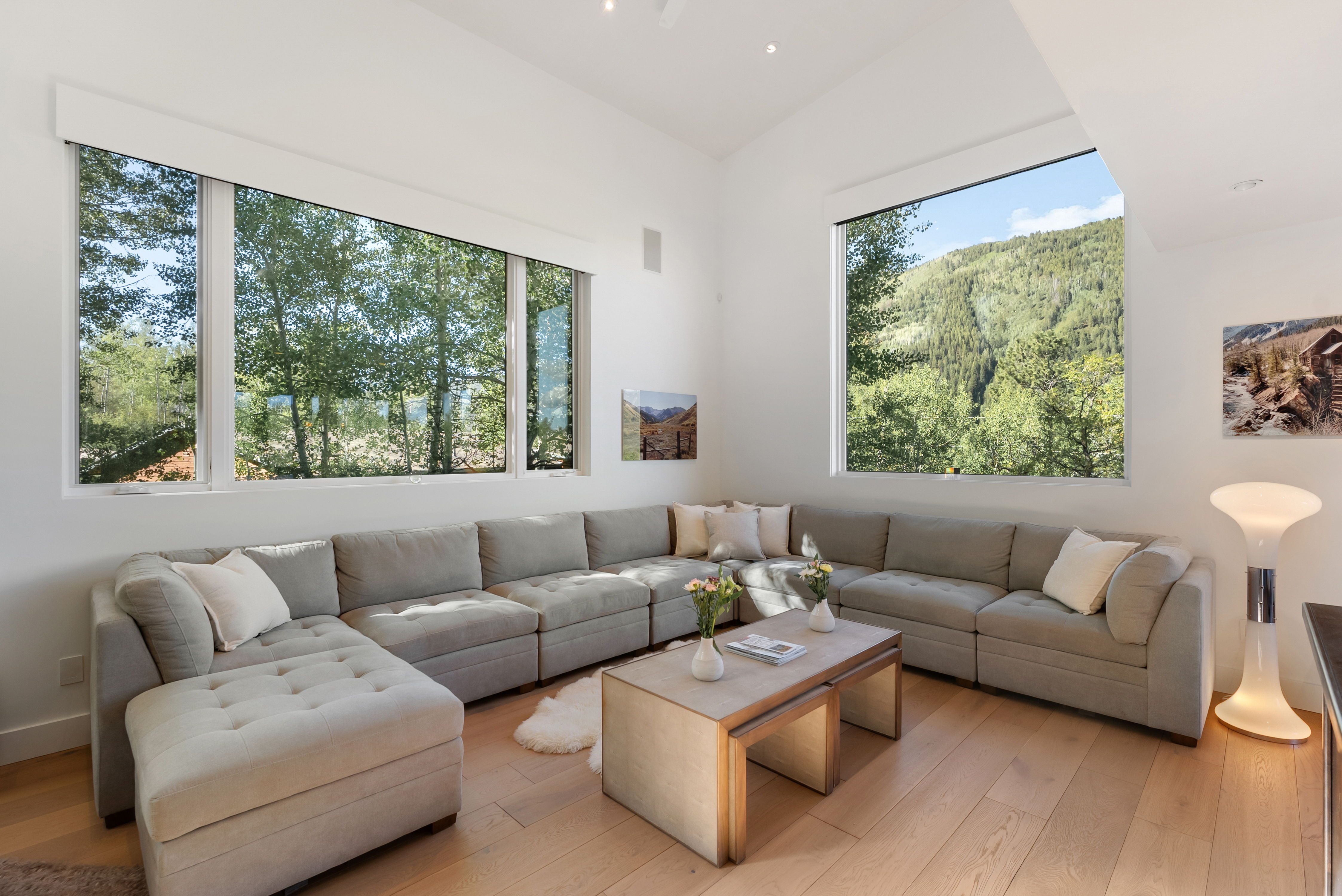  257 Mountain Laurel Drive, Aspen, CO, 81611 - 物件實景