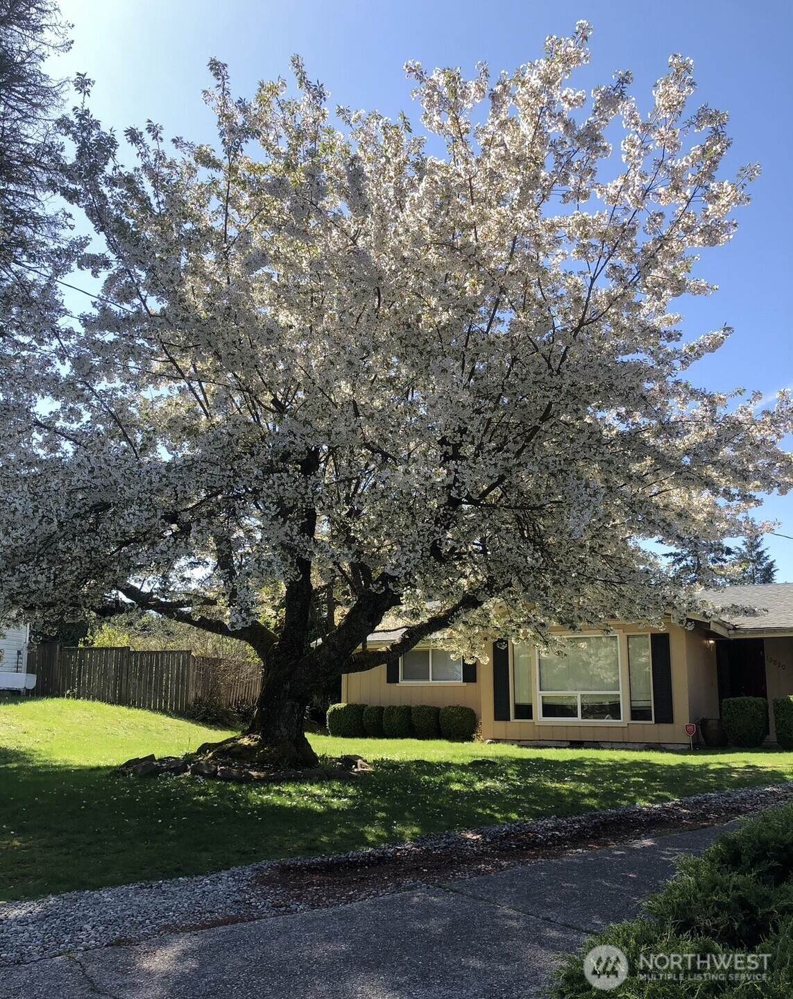 Tacoma, Washington, 98498, United States, 4 Bedrooms Bedrooms, ,3 BathroomsBathrooms,Residential,For Sale,1951496