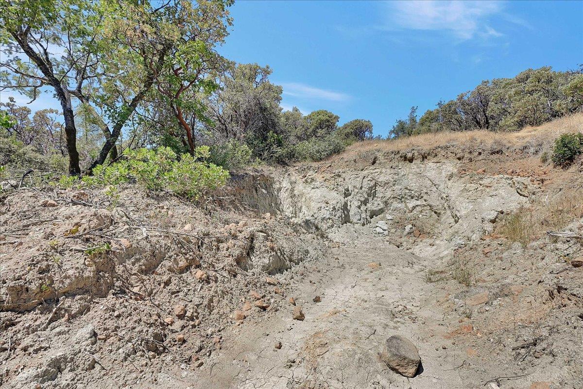 Oregon House, California, 95962, United States, ,Land,For Sale,1975767