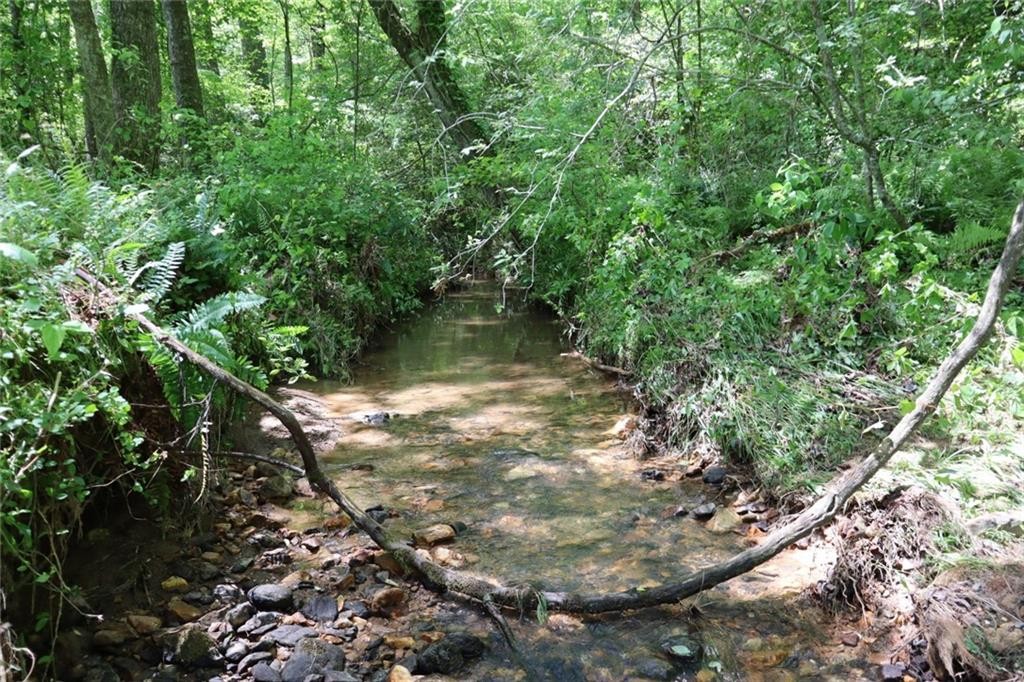 Ellijay, Georgia, 30540, United States, ,Residential,For Sale,1881390