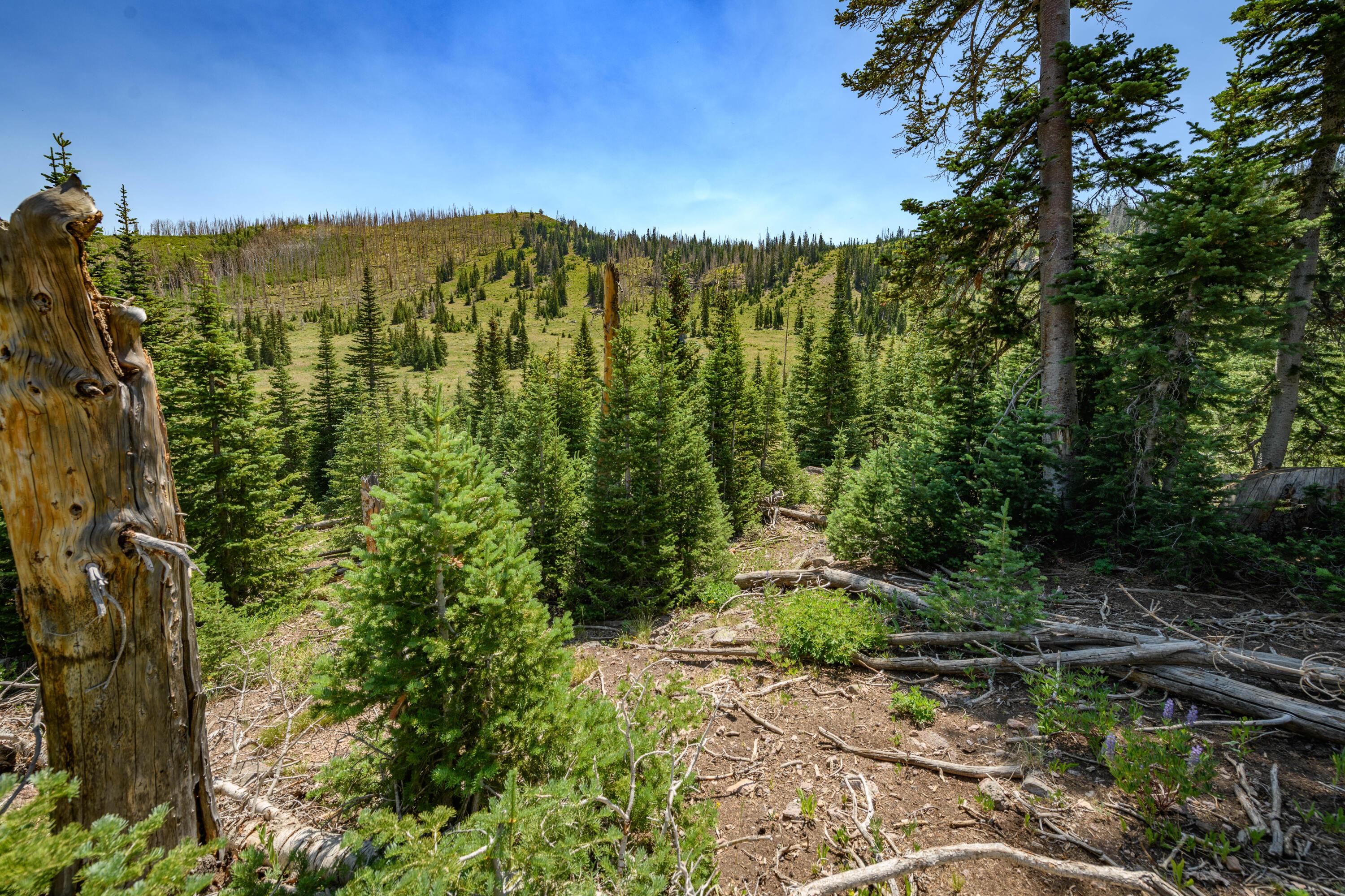 Brian Head, Utah, 84719, United States, ,Residential,For Sale,1983470