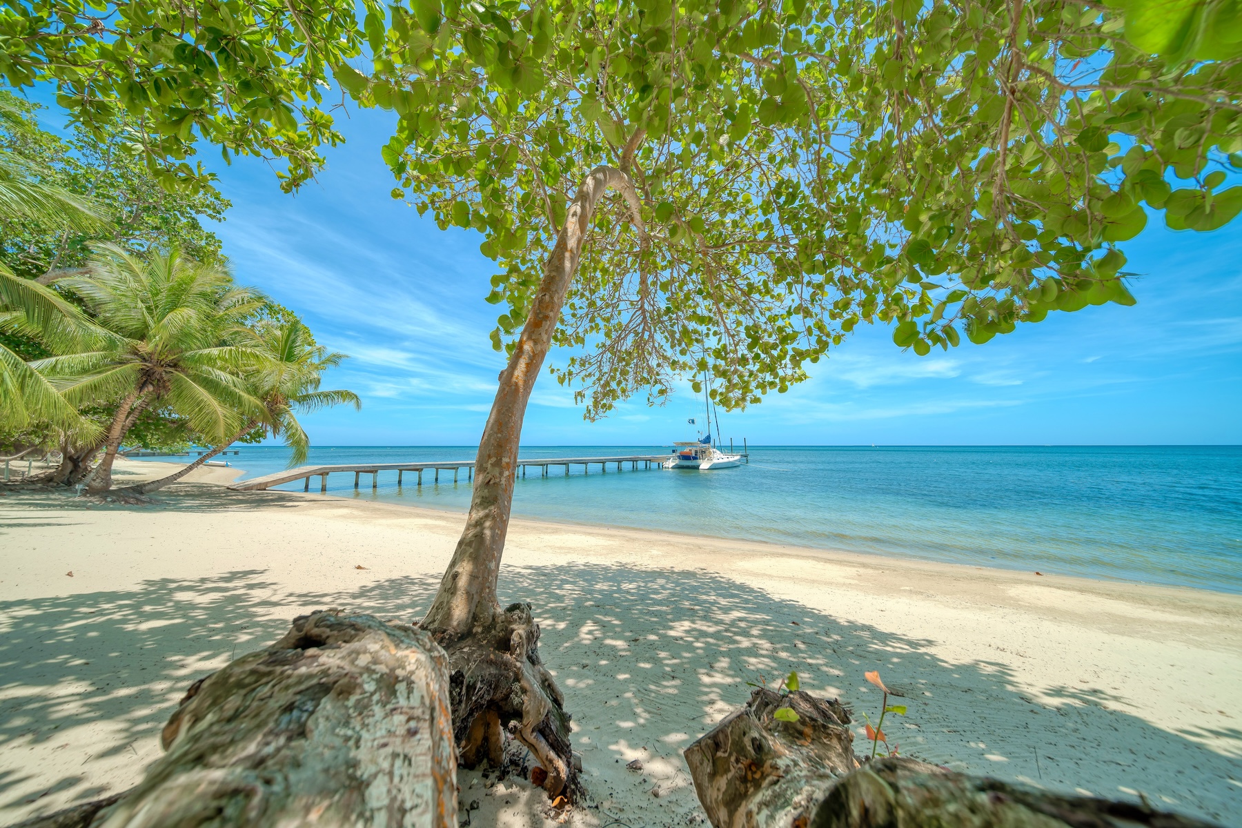  Beachfront Condo B2 in Watercolors Resort, West Bay - 物件實景