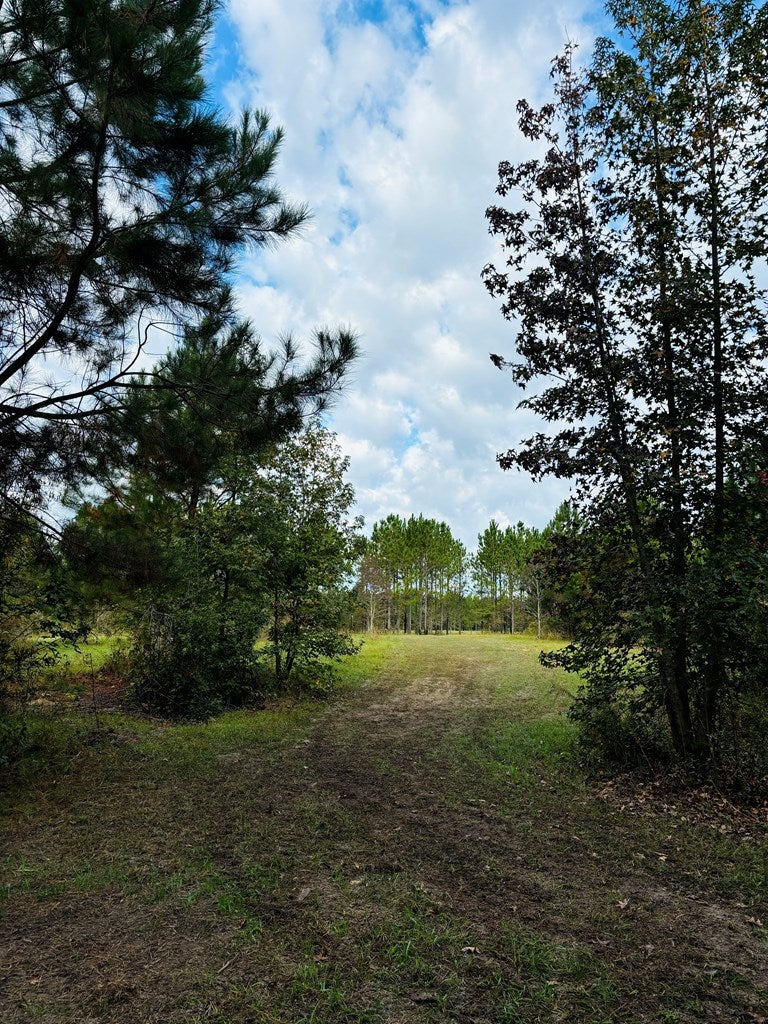 Abbeville, Georgia, 31001, United States, ,Land,For Sale,1975130