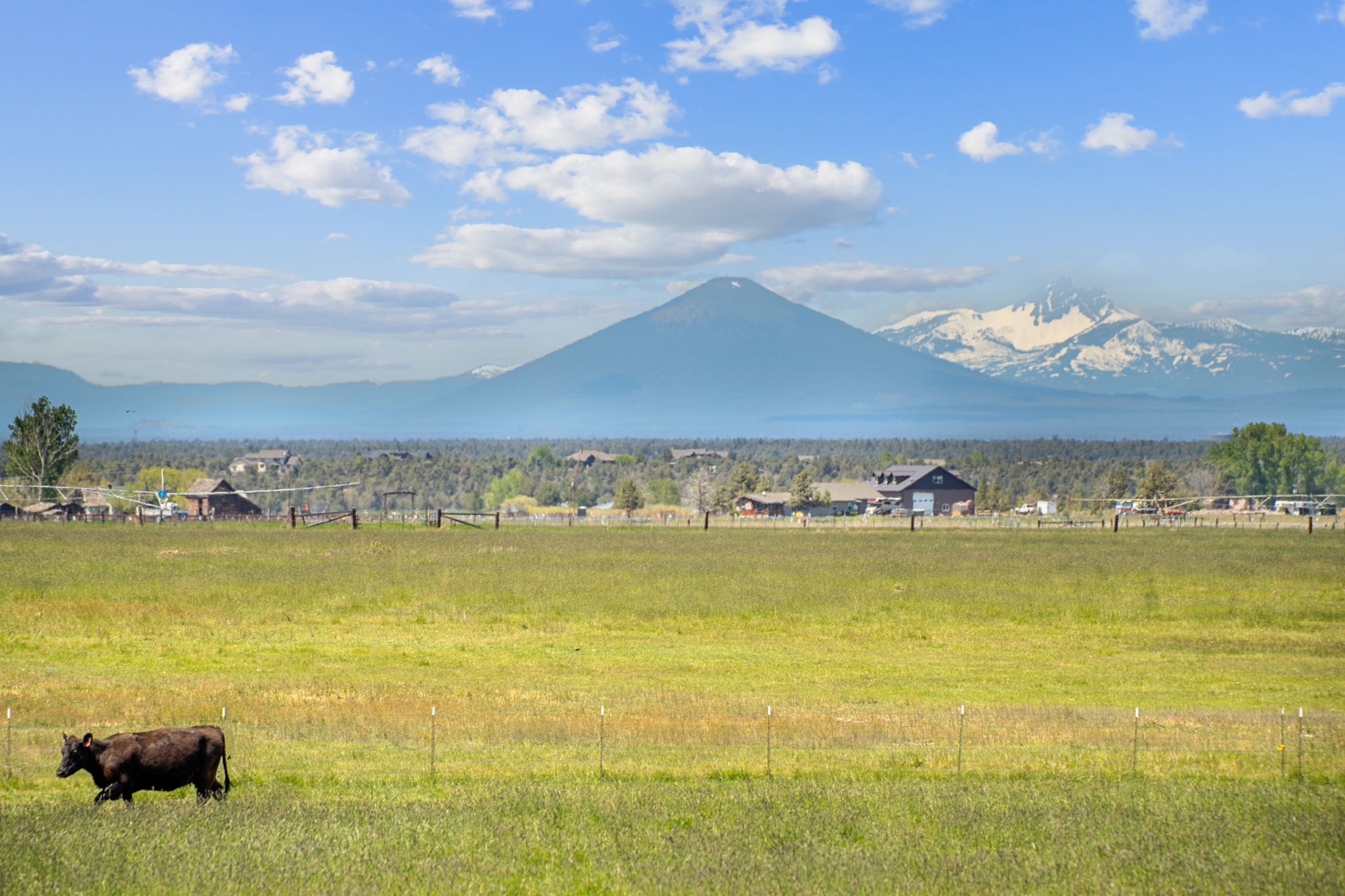 13501 SW Riggs Rd., Powell Butte, Oregon, 97753, United States, 3 Bedrooms Bedrooms, ,4 BathroomsBathrooms,Farm And Agriculture,For Sale,13501 SW Riggs Rd.,1623020
