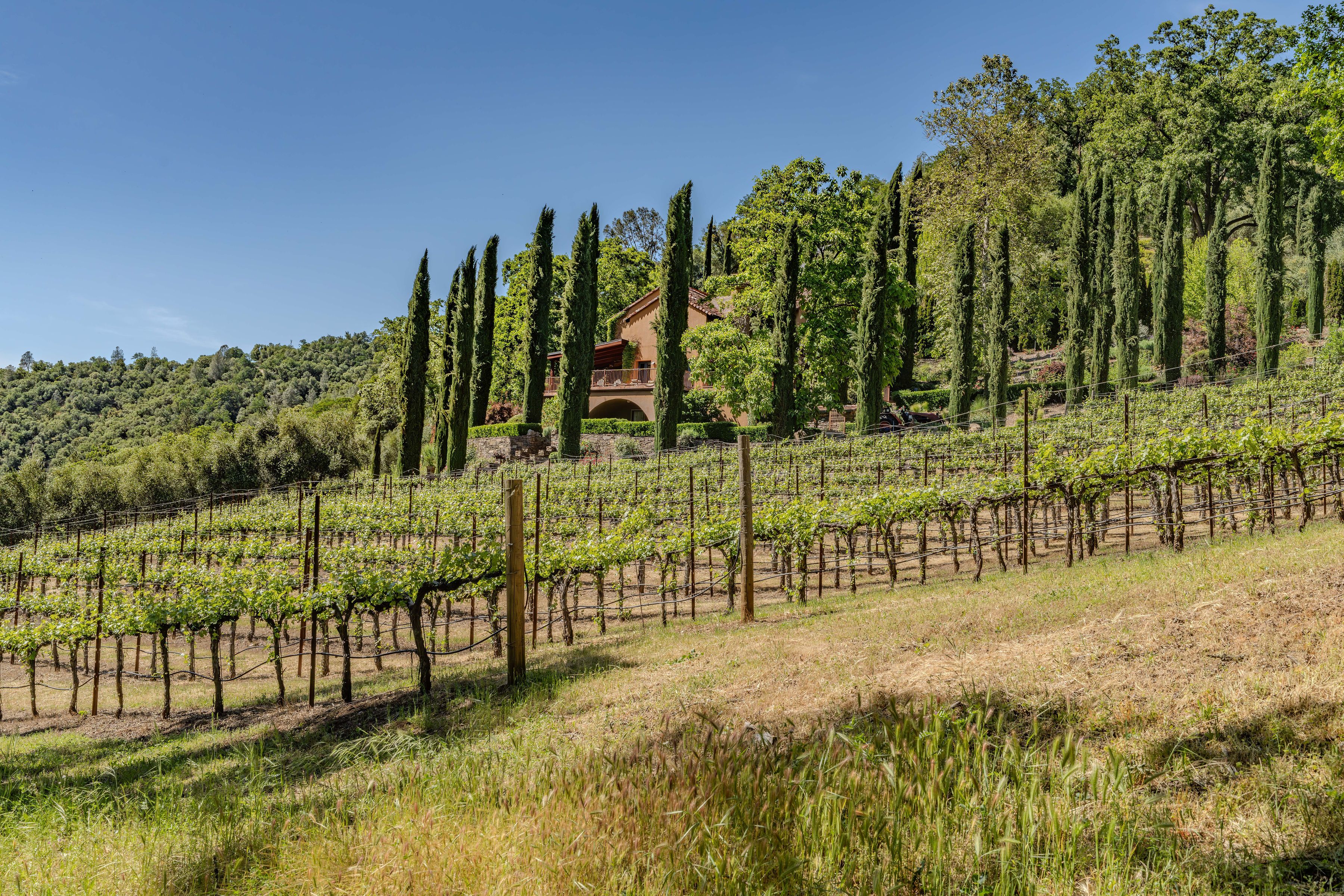  Horizon Canyon  Private 41-Acre Riverfront Estate Between Sacramento & Lake Tah - 物件實景