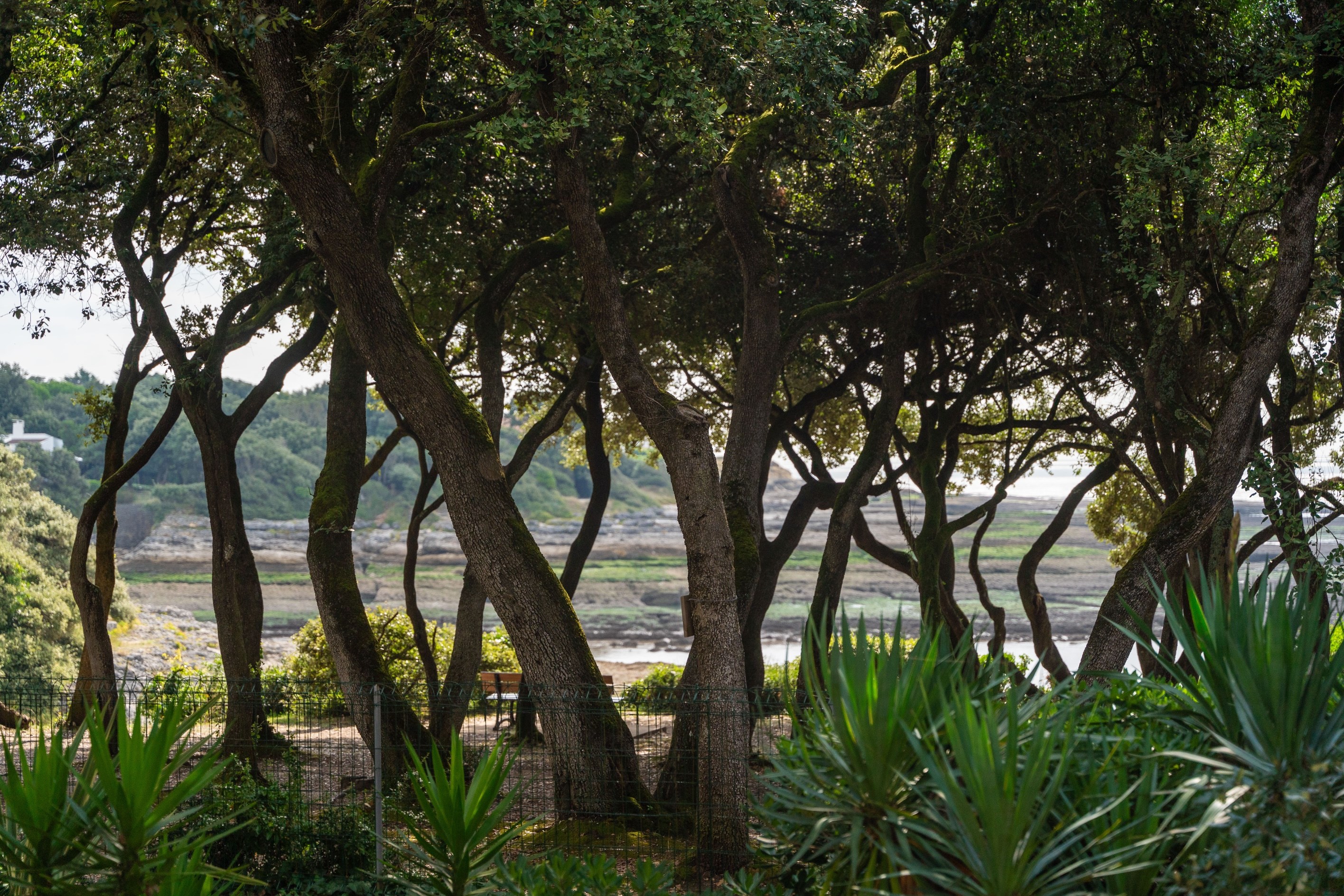  House with sea view in the Domaine des Fées - 物件實景